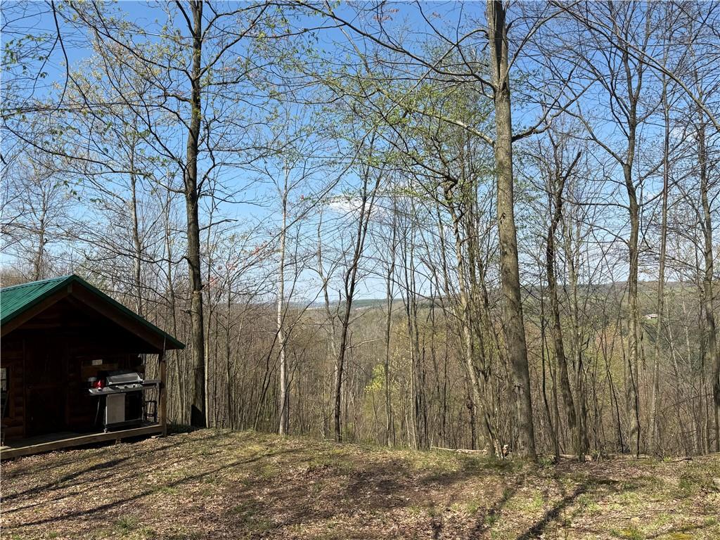 64-acres Along Gallagher & Loop Roads Dayton, PA 16222 - Photo 8 of 35