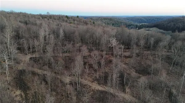 a view of a dry yard
