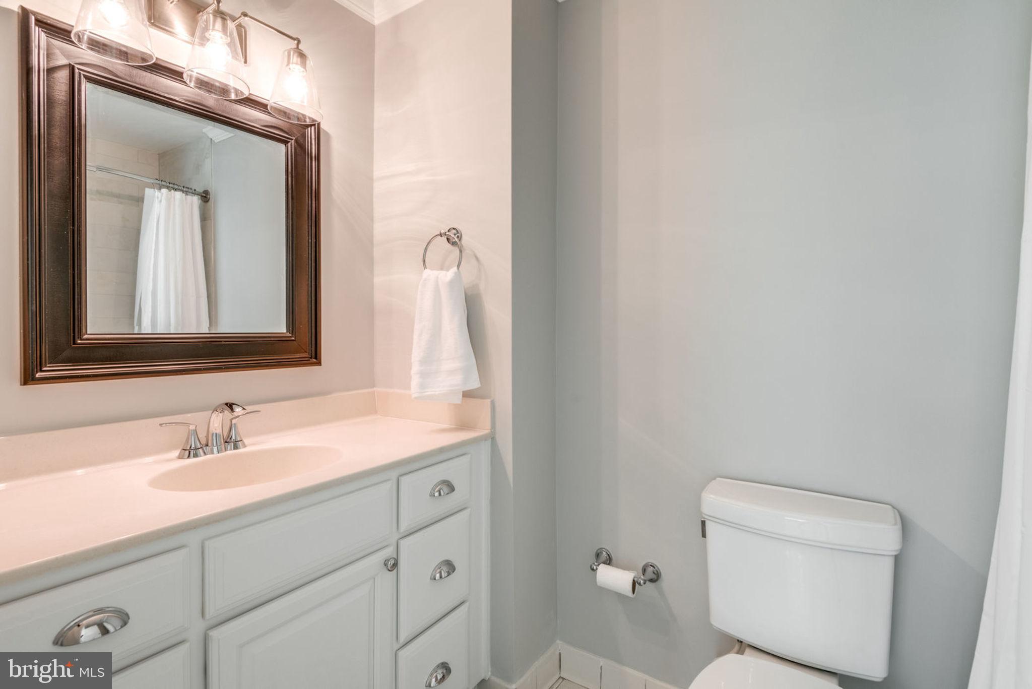 2046 Chadds Ford Drive Reston, VA 20191 - Photo 24 of 52 Second Vanity with New Fixtures