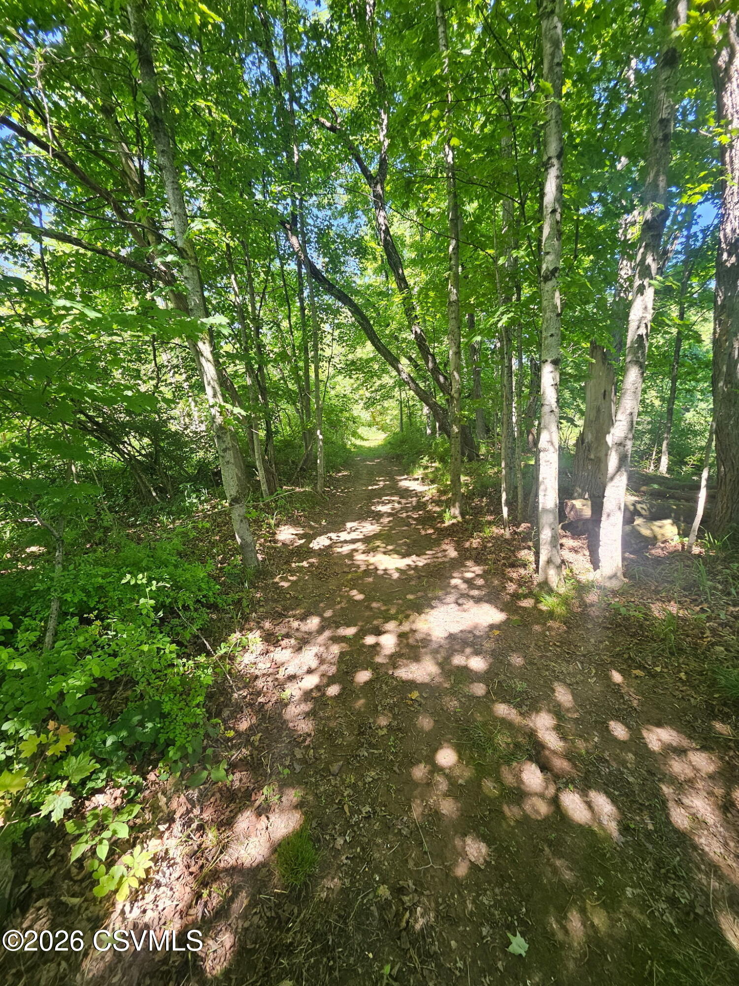 579 Broadway Road Winfield, PA 17889 - Photo 90 of 94