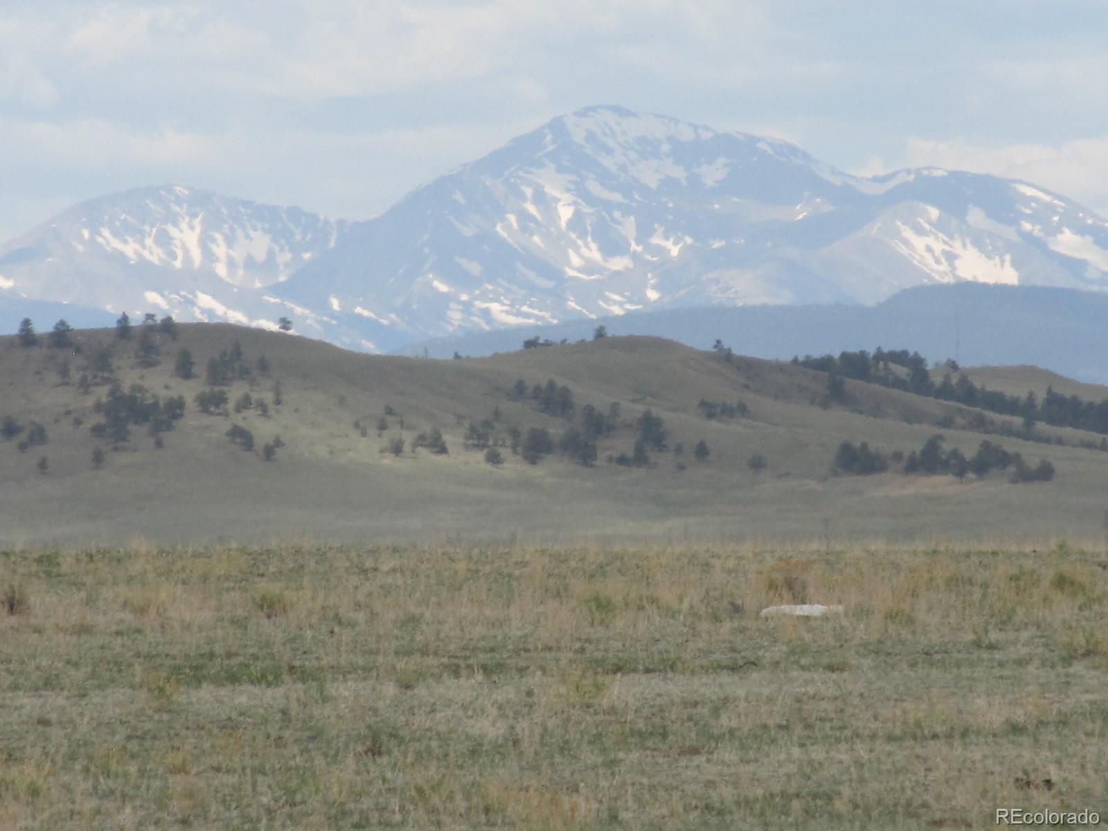 6809 Jackson Road Hartsel, CO 80449 - Photo 4 of 8