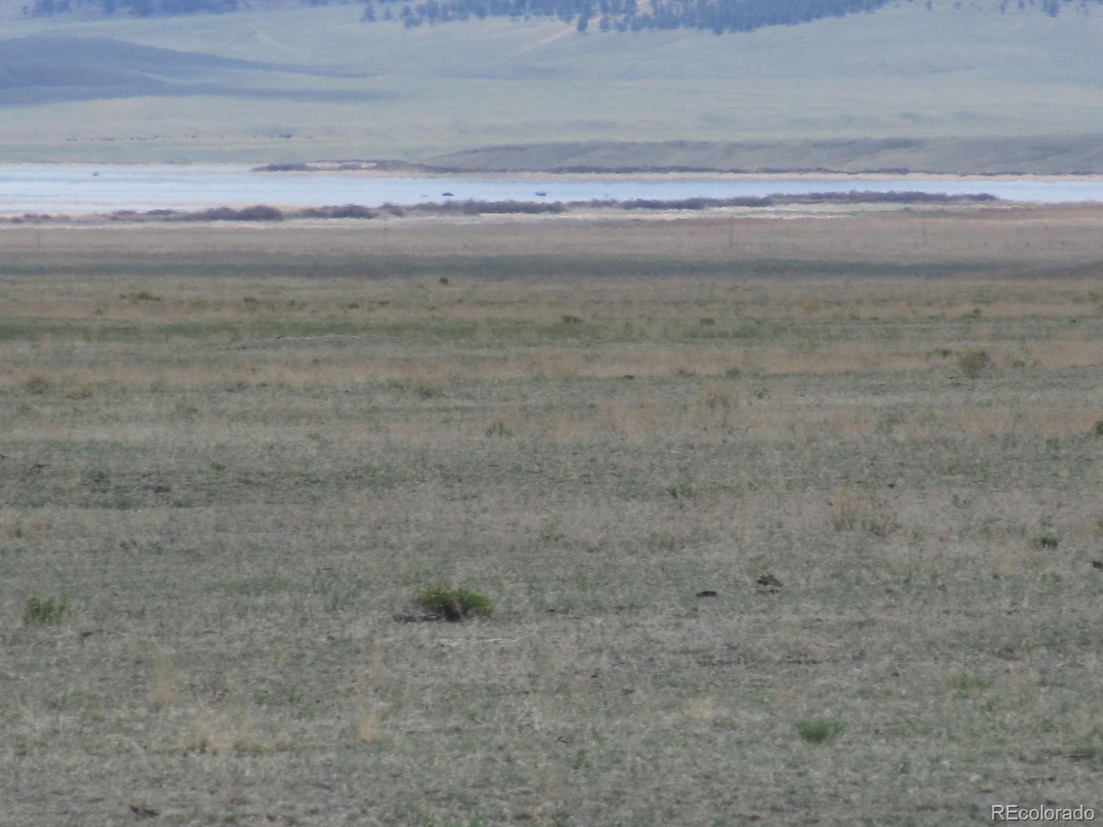 6809 Jackson Road Hartsel, CO 80449 - Photo 6 of 8