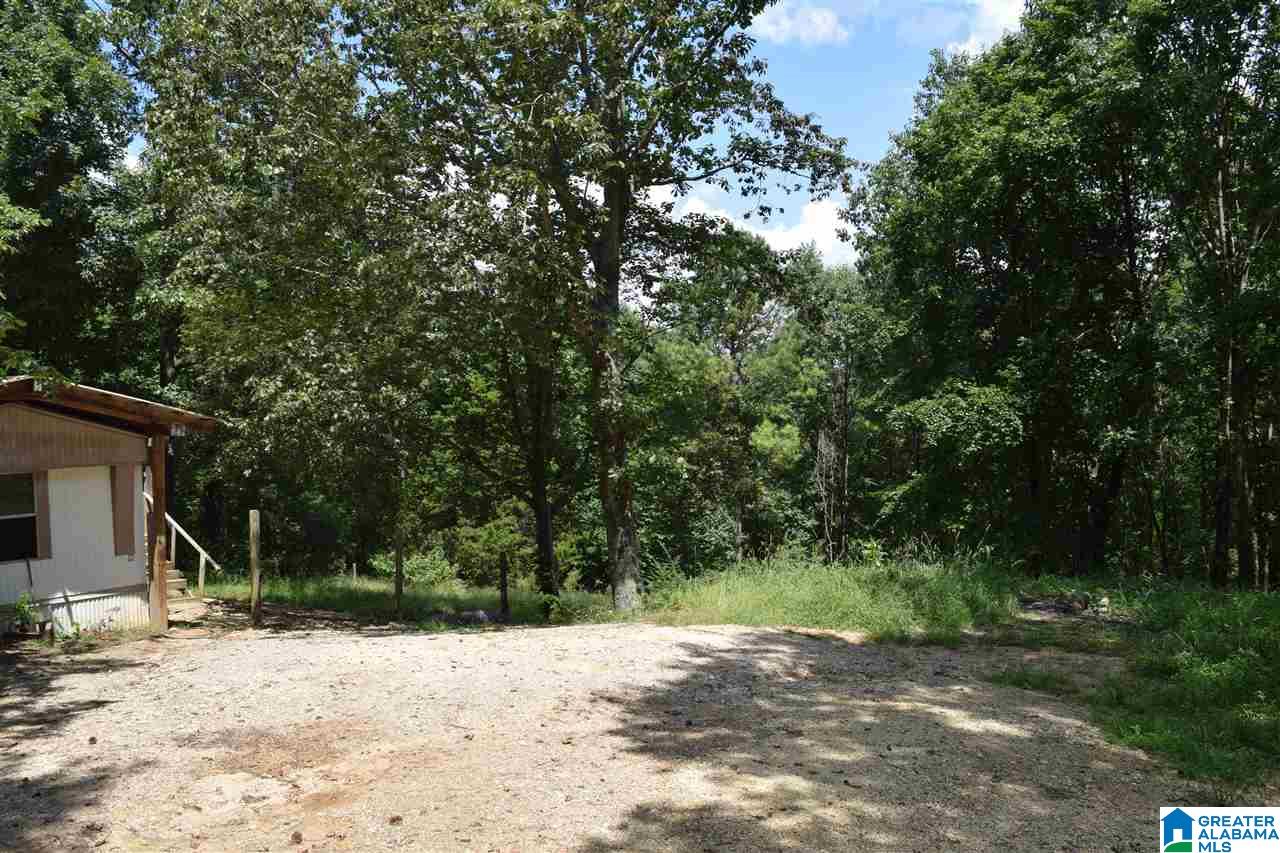 730 Rickwood Cavern Road Warrior, AL 35180 - Photo 3 of 14