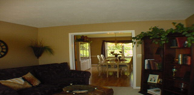 6879 Sentinel Road Rockford, IL 61107 - Photo 3 of 4 a living room with furniture and a potted plant