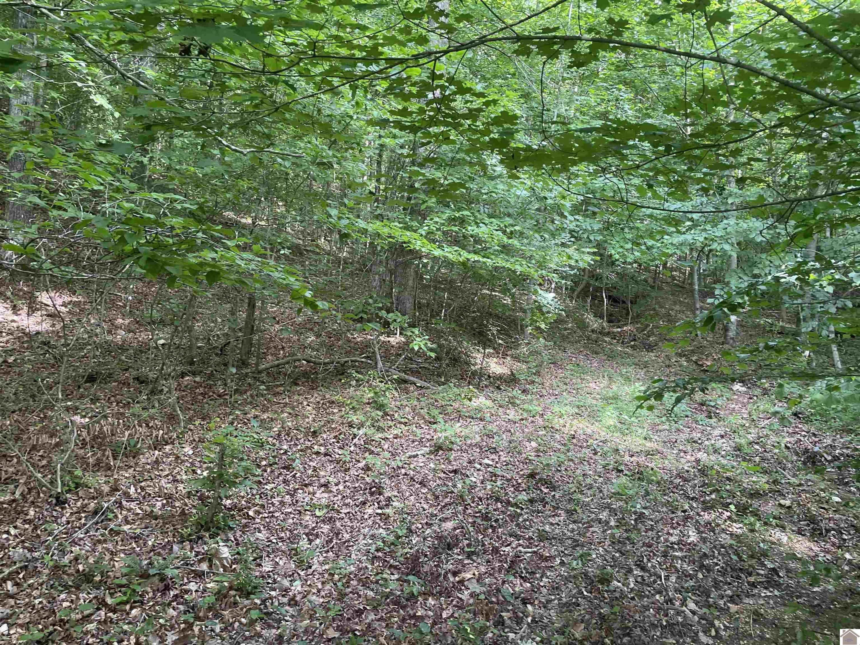 3642 Linton Road Cadiz, KY 42211 - Photo 11 of 18 Photo 11