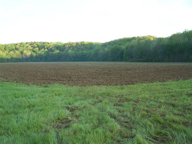 315 Robert Hensley Road Hohenwald, TN 38462 - Photo 3 of 18 Gallery Image 3
