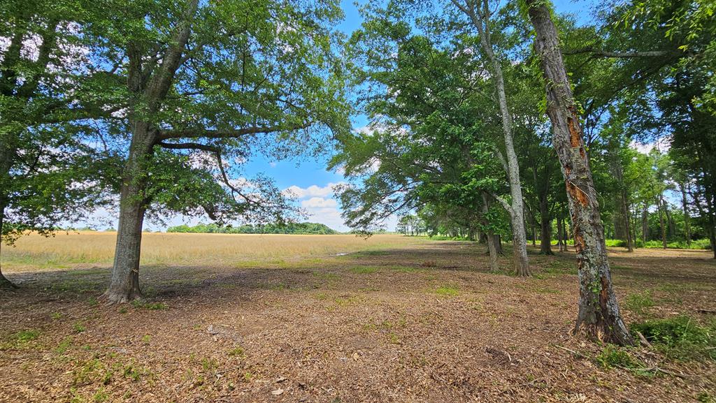 92 County Road 92 Slocomb, AL 36375 - Photo 49 of 58