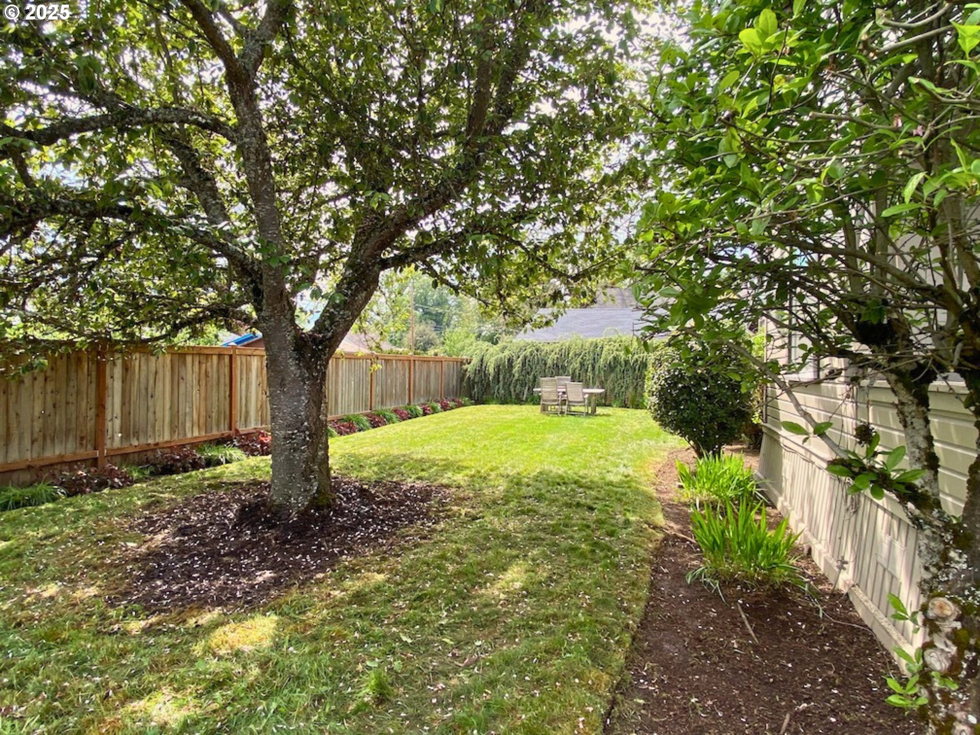 409 North 8th Street Cottage Grove, OR 97424 - Photo 42 of 48 a view of backyard with tree