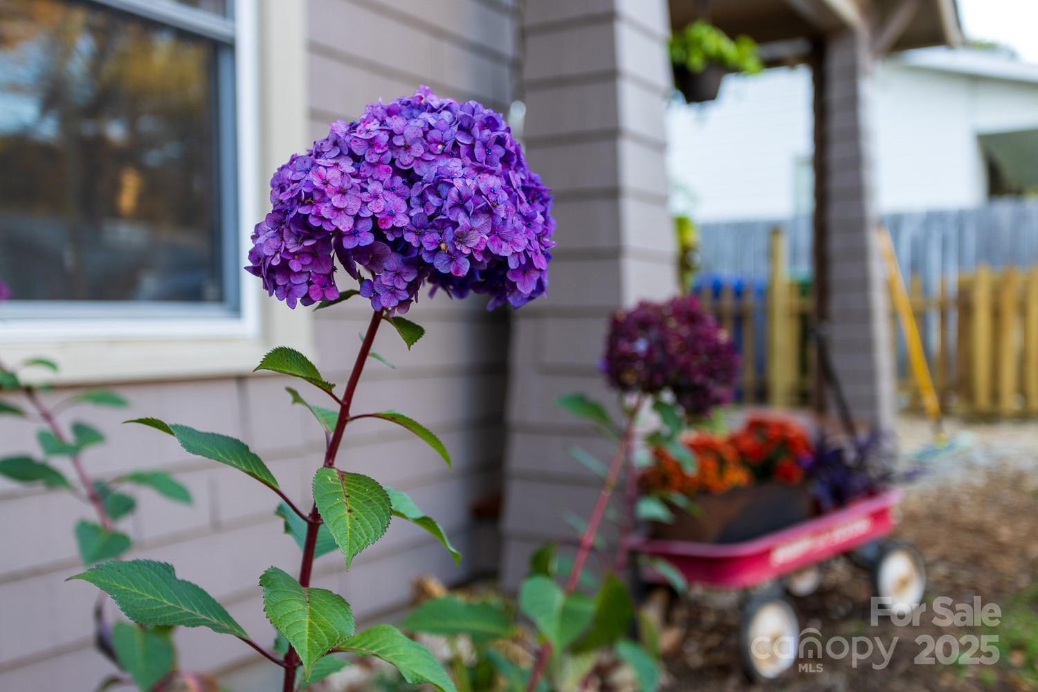 87 Pershing Road Asheville, NC 28805 - Photo 33 of 48 a view of a flower