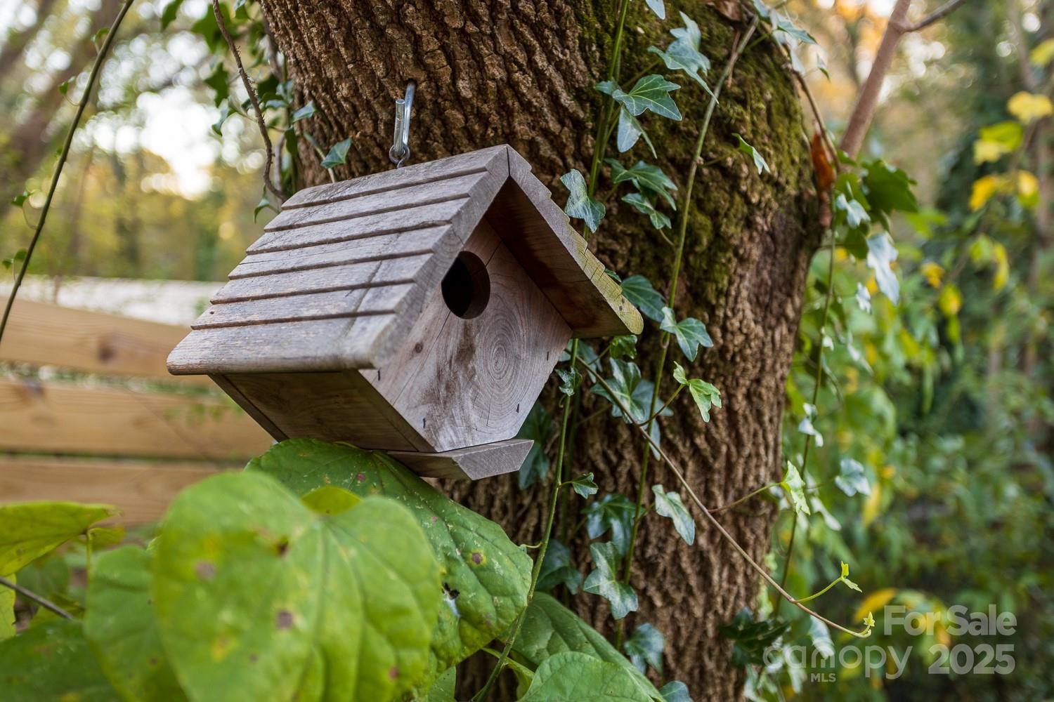 87 Pershing Road Asheville, NC 28805 - Photo 39 of 48 a backyard of a house with lots of green space