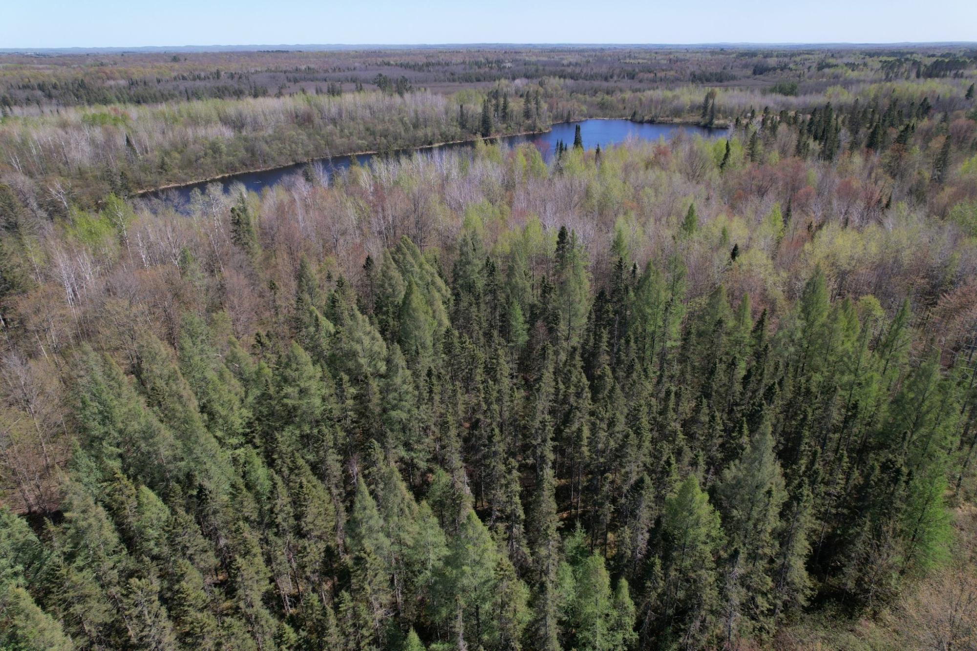 Off Hay Creek Road, Unit 820ACRES Prentice, WI 54556 - Photo 36 of 43 Gallery Image 36