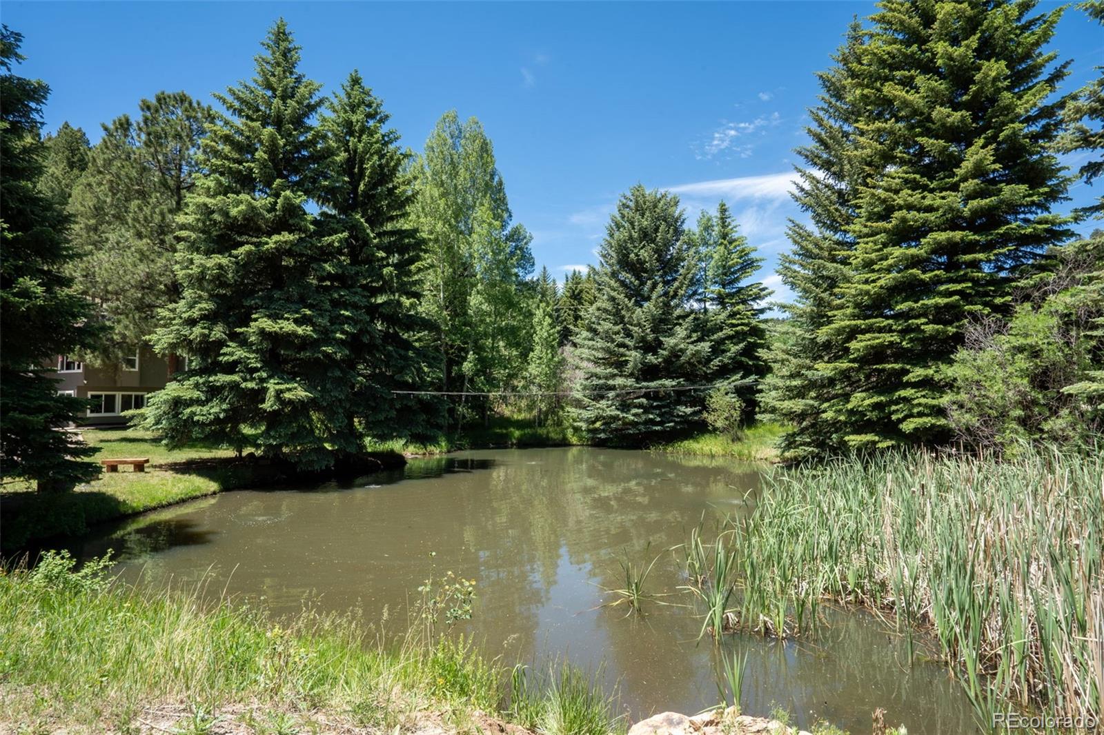 384 Brookside Drive Bailey, CO 80421 - Photo 39 of 50