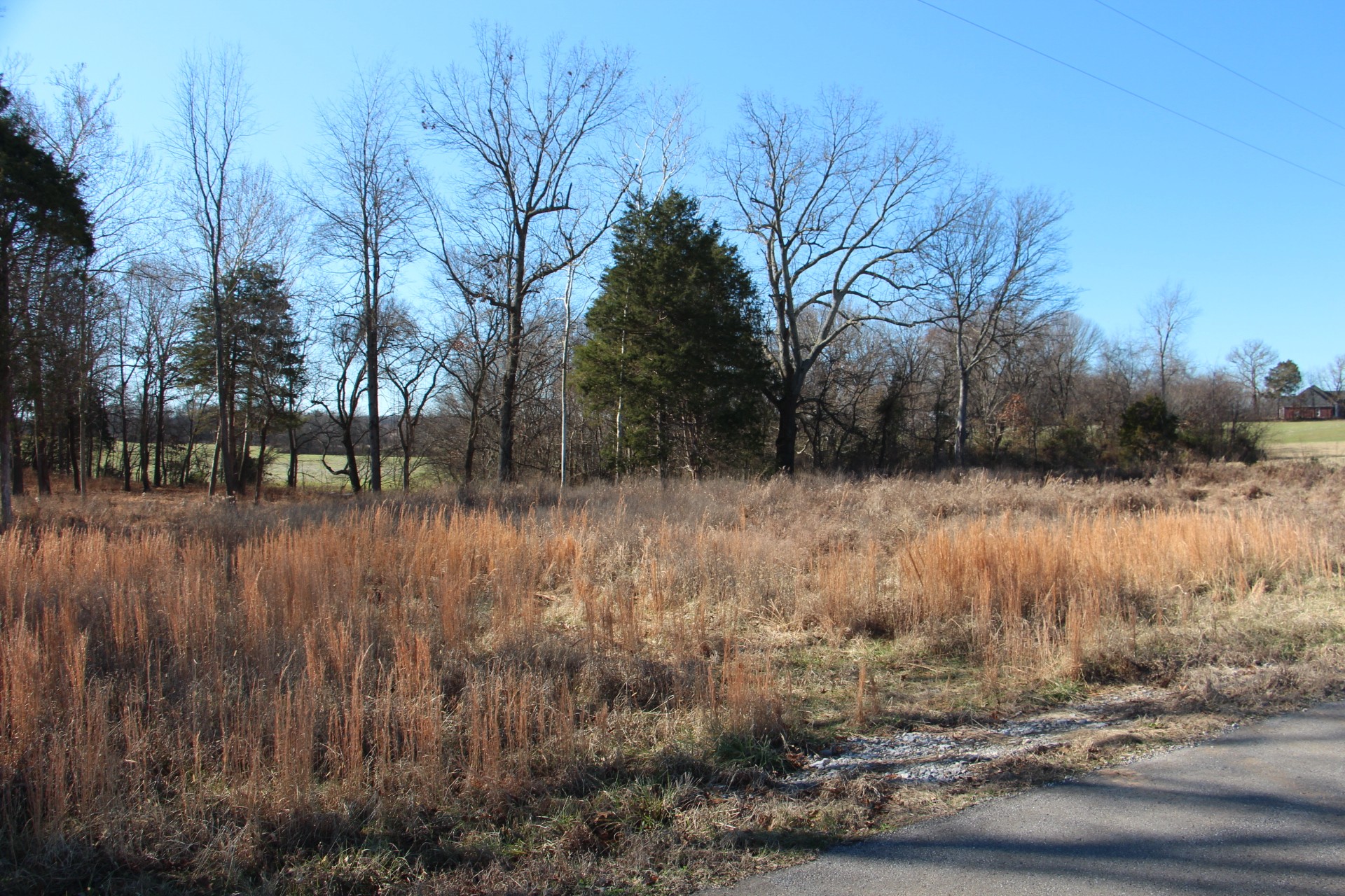 3356 Gunn Road Springfield, TN 37172 - Photo 14 of 16