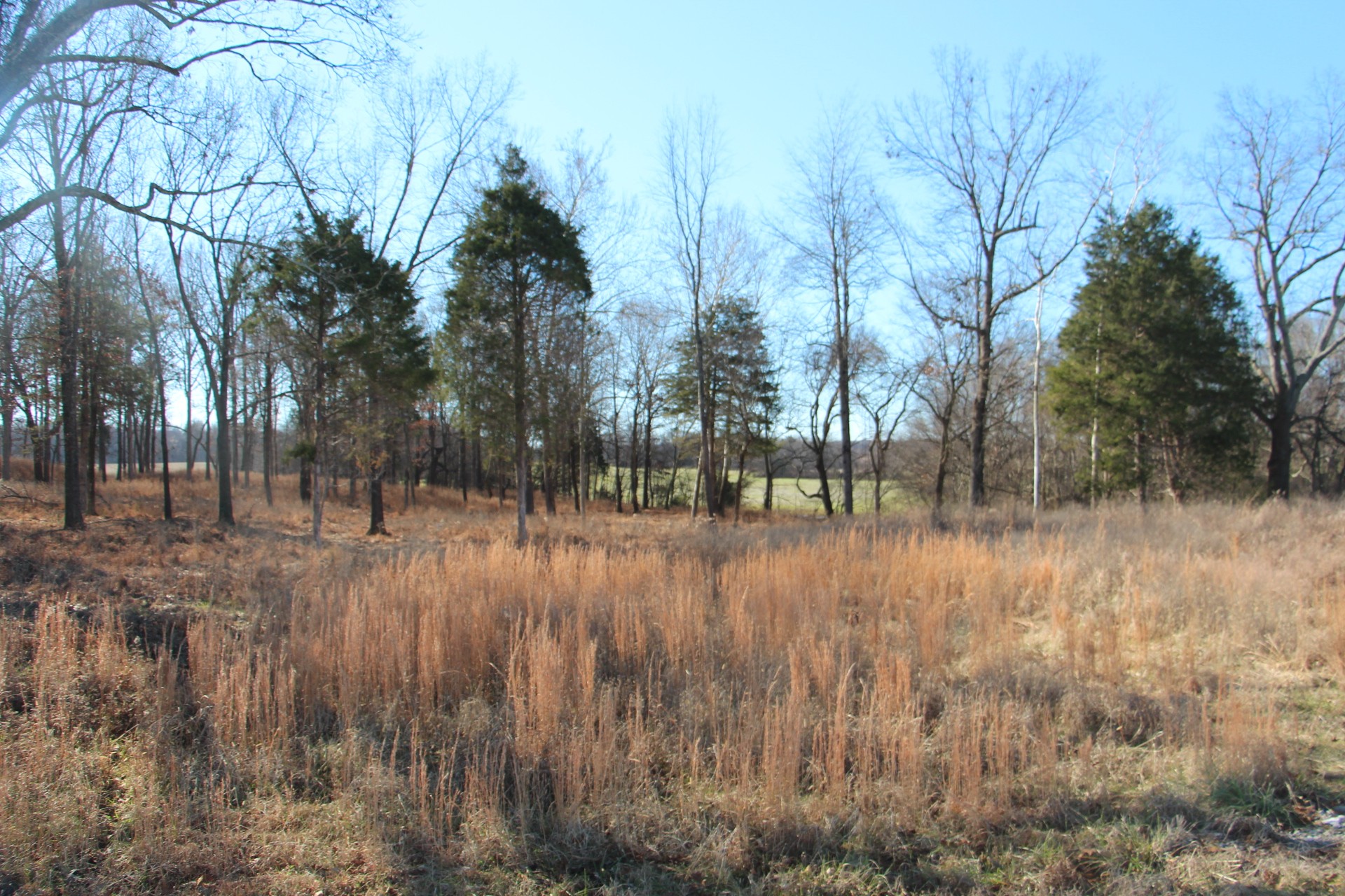 3356 Gunn Road Springfield, TN 37172 - Photo 15 of 16
