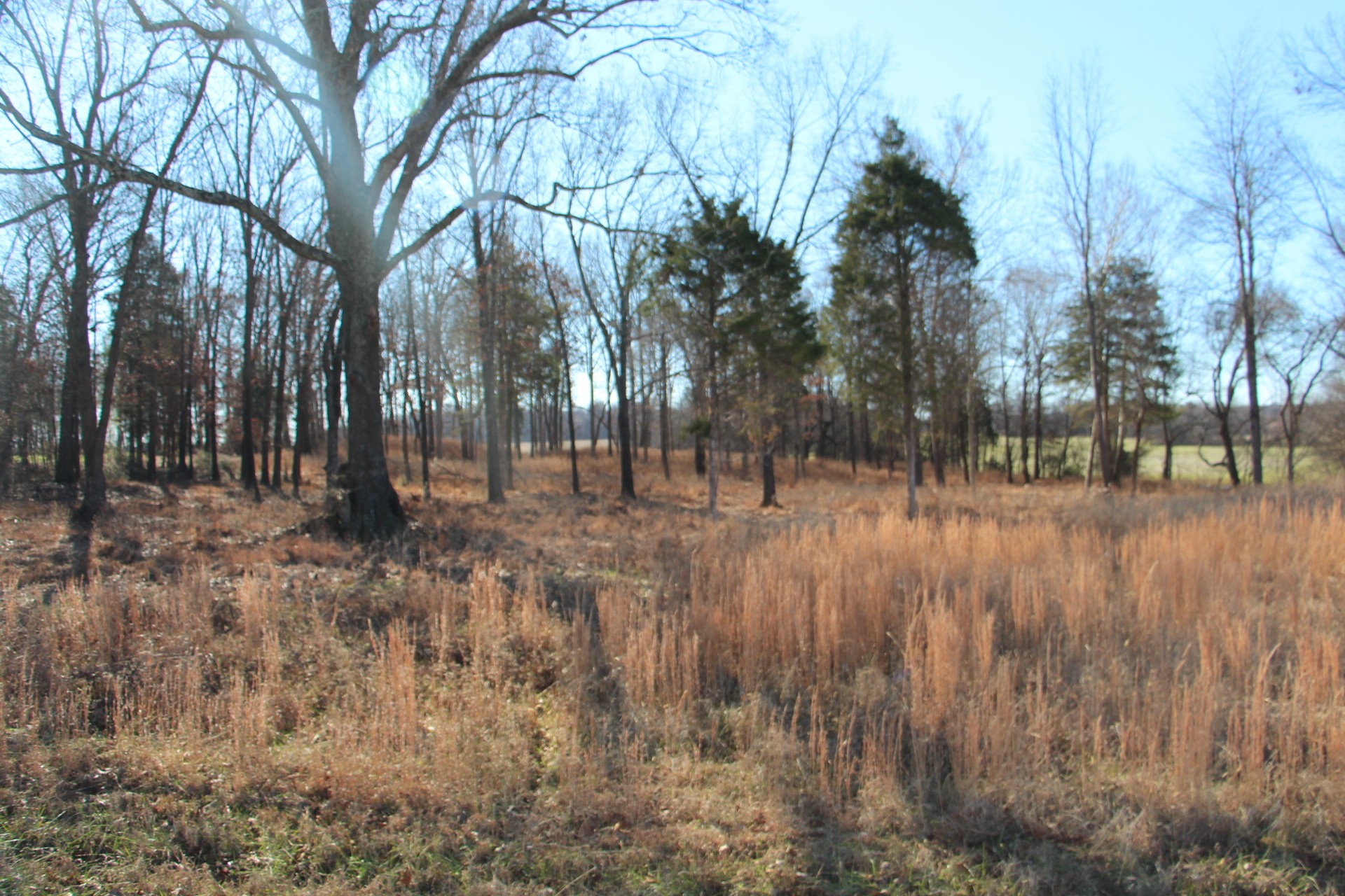 3356 Gunn Road Springfield, TN 37172 - Photo 16 of 16