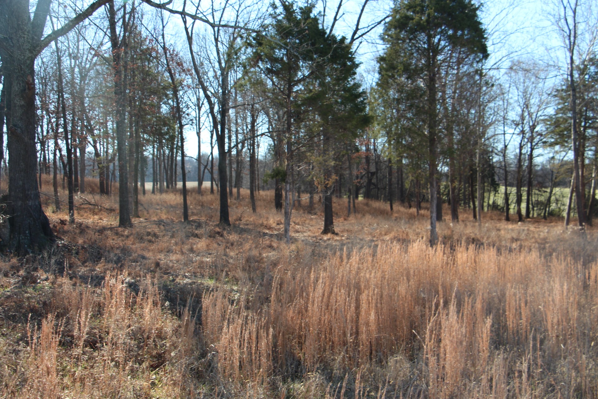 3356 Gunn Road Springfield, TN 37172 - Photo 7 of 16