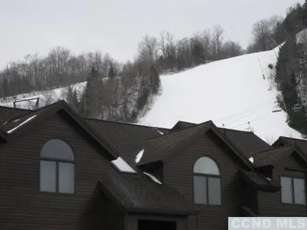 $329,000 | 73 Liftside Drive, Unit B14, Hunter, NY 12442