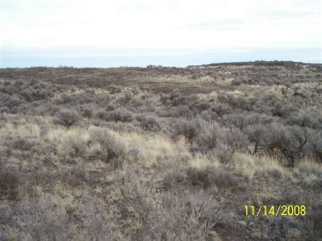 0 Kellum Road Odessa, WA 99159 - Photo 3 of 3