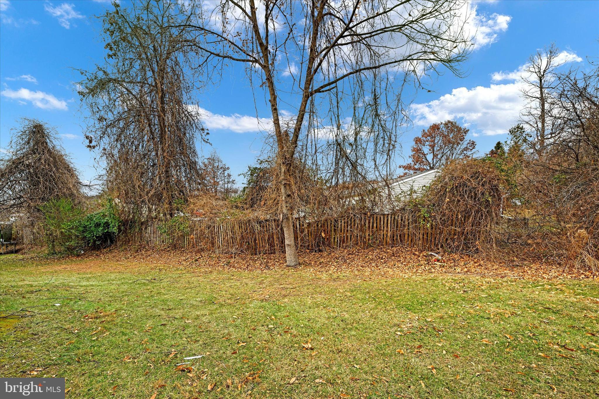 6648 Hunter Road Elkridge, MD 21075 - Photo 36 of 38 Backyard