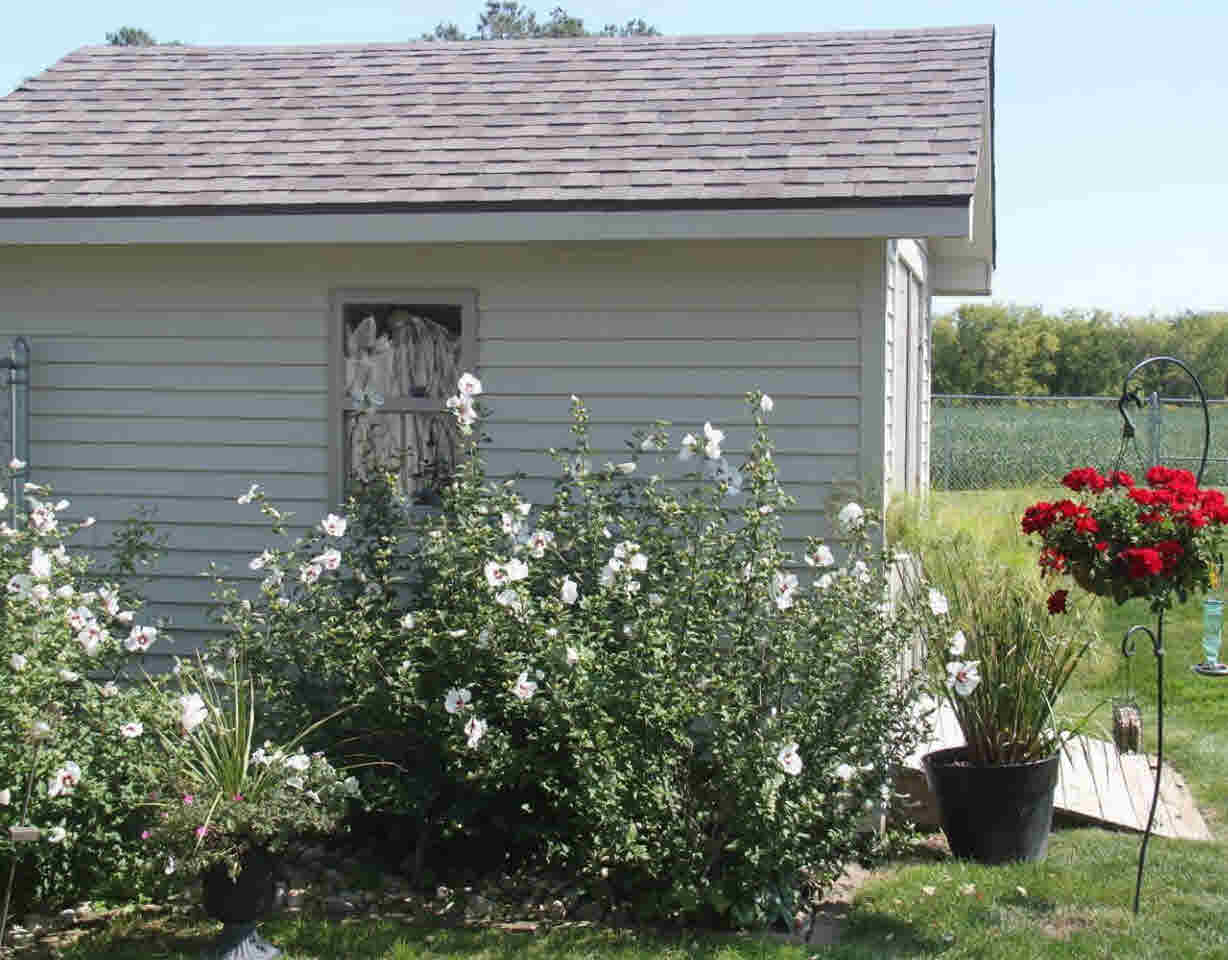 5312 Dillon Road Flushing, MI 48433 - Photo 31 of 33 21383132-32.JPG