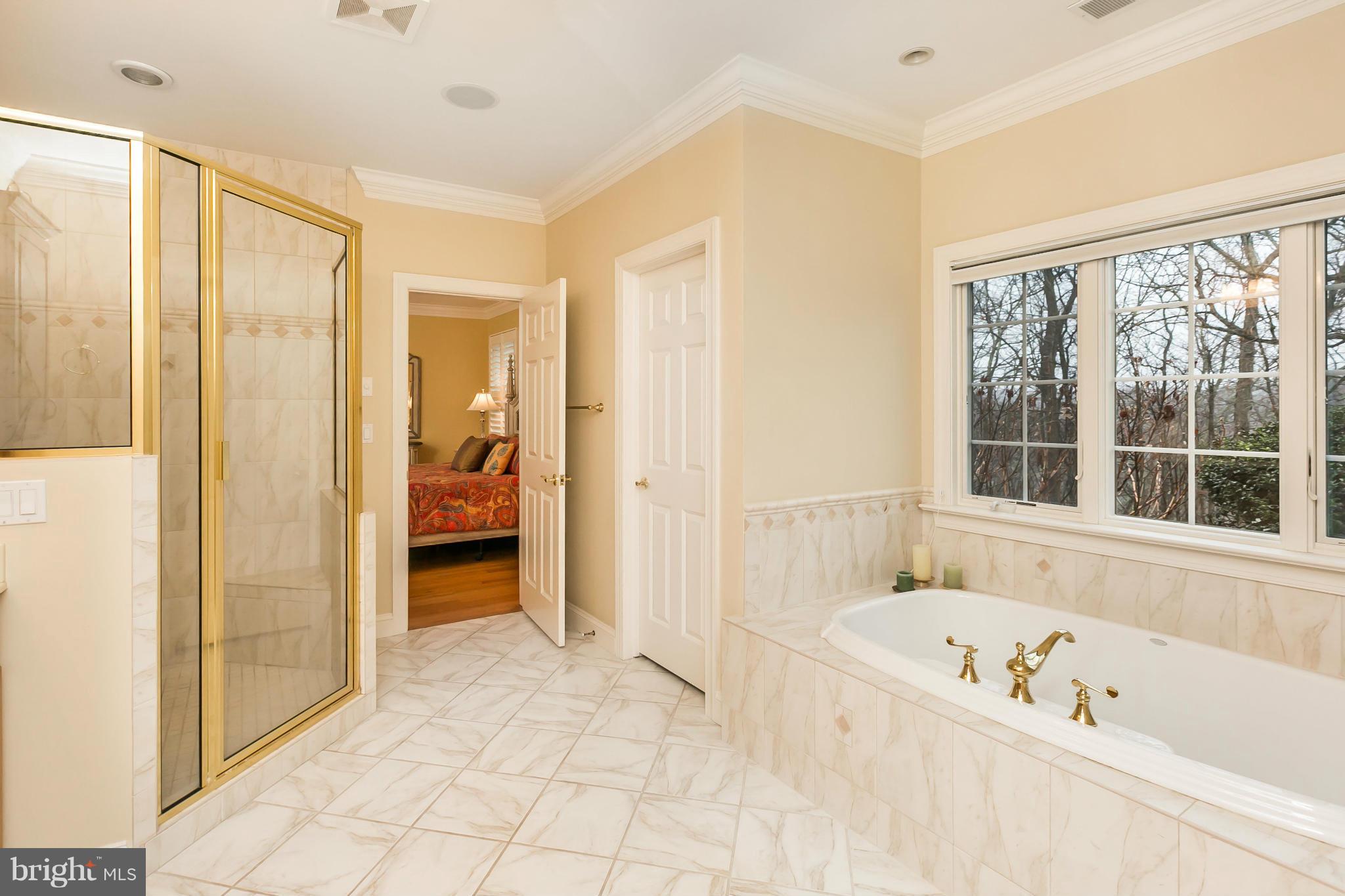 109 Graystone Farm Road Parkton, MD 21120 - Photo 13 of 30 Luxurious 1st Floor Master Bath!