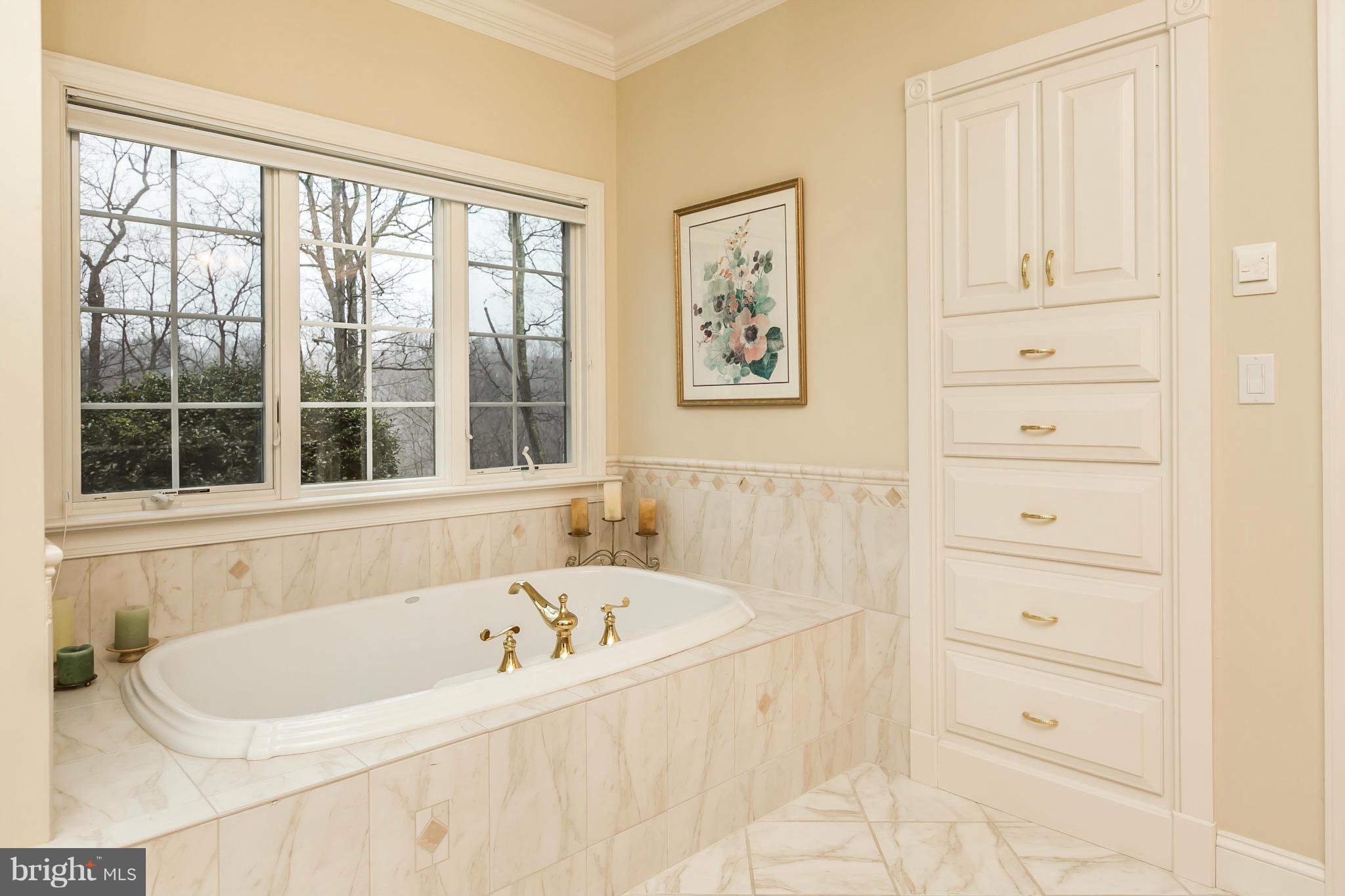 109 Graystone Farm Road Parkton, MD 21120 - Photo 15 of 30 Luxurious First Floor Master with Built-ins