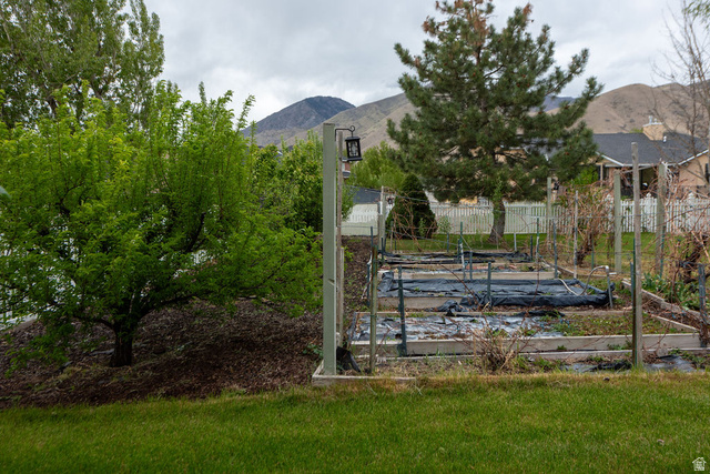 875 East 1300th Street North Mapleton, UT 84664 - Photo 57 of 65 Gate with a garden and a mountain view