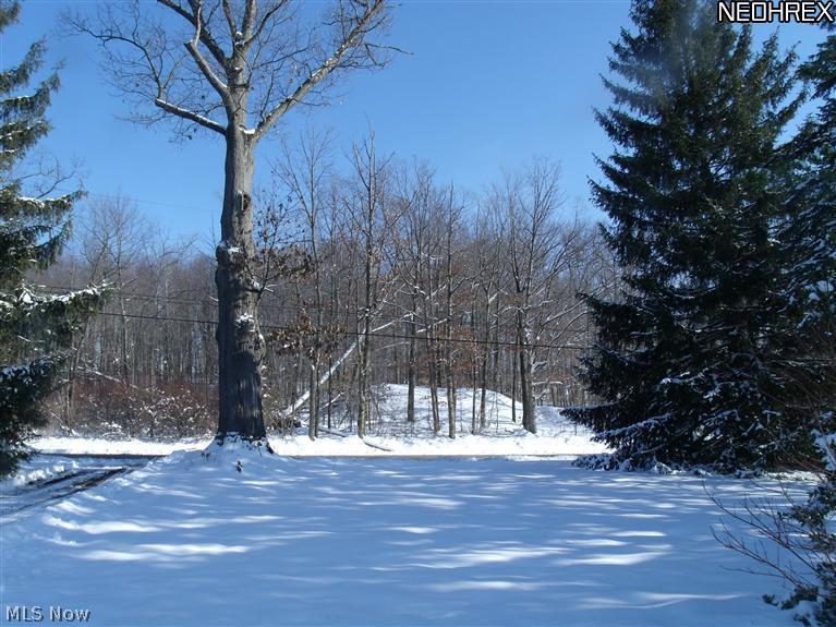 9398 Knauf Road Canfield, OH 44406 - Photo 23 of 23 Gallery Image 23