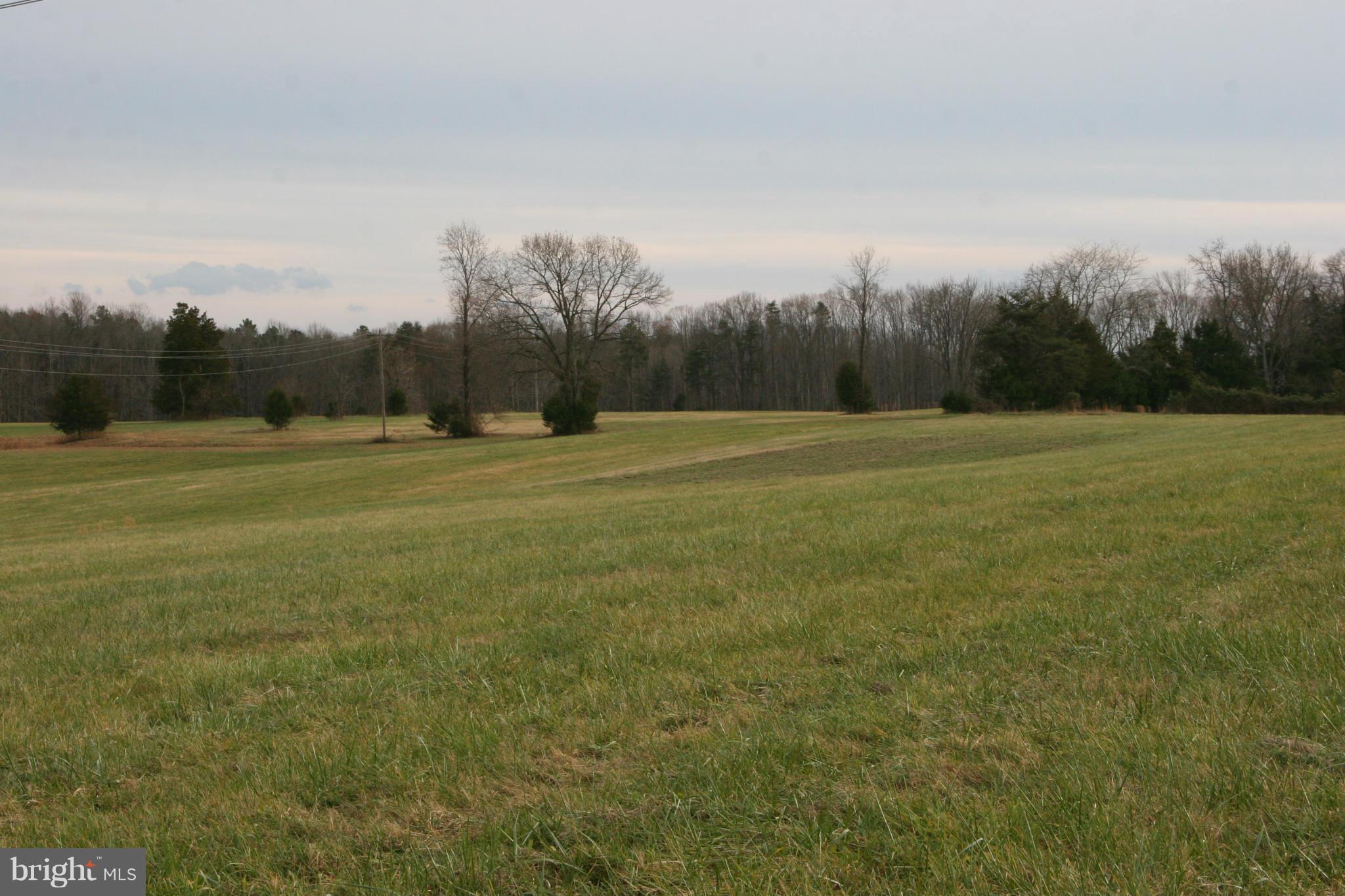 Blanton Road Spotsylvania, VA 22551 - Photo 7 of 10 View