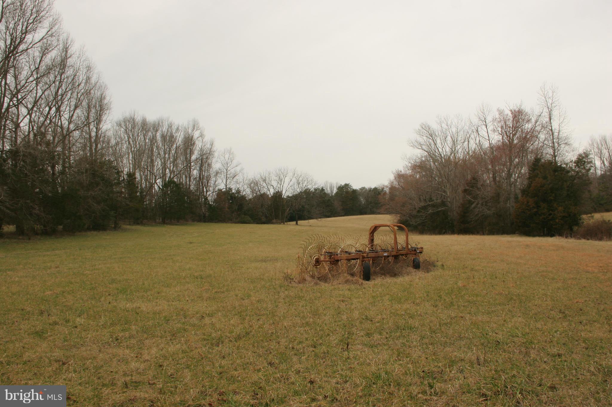 Blanton Road Spotsylvania, VA 22551 - Photo 8 of 10 View