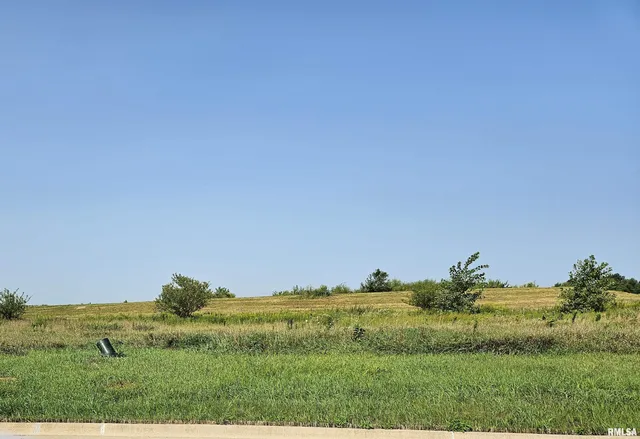 $64,990 | Lot 83 Kyle Court, Metamora, IL 61548