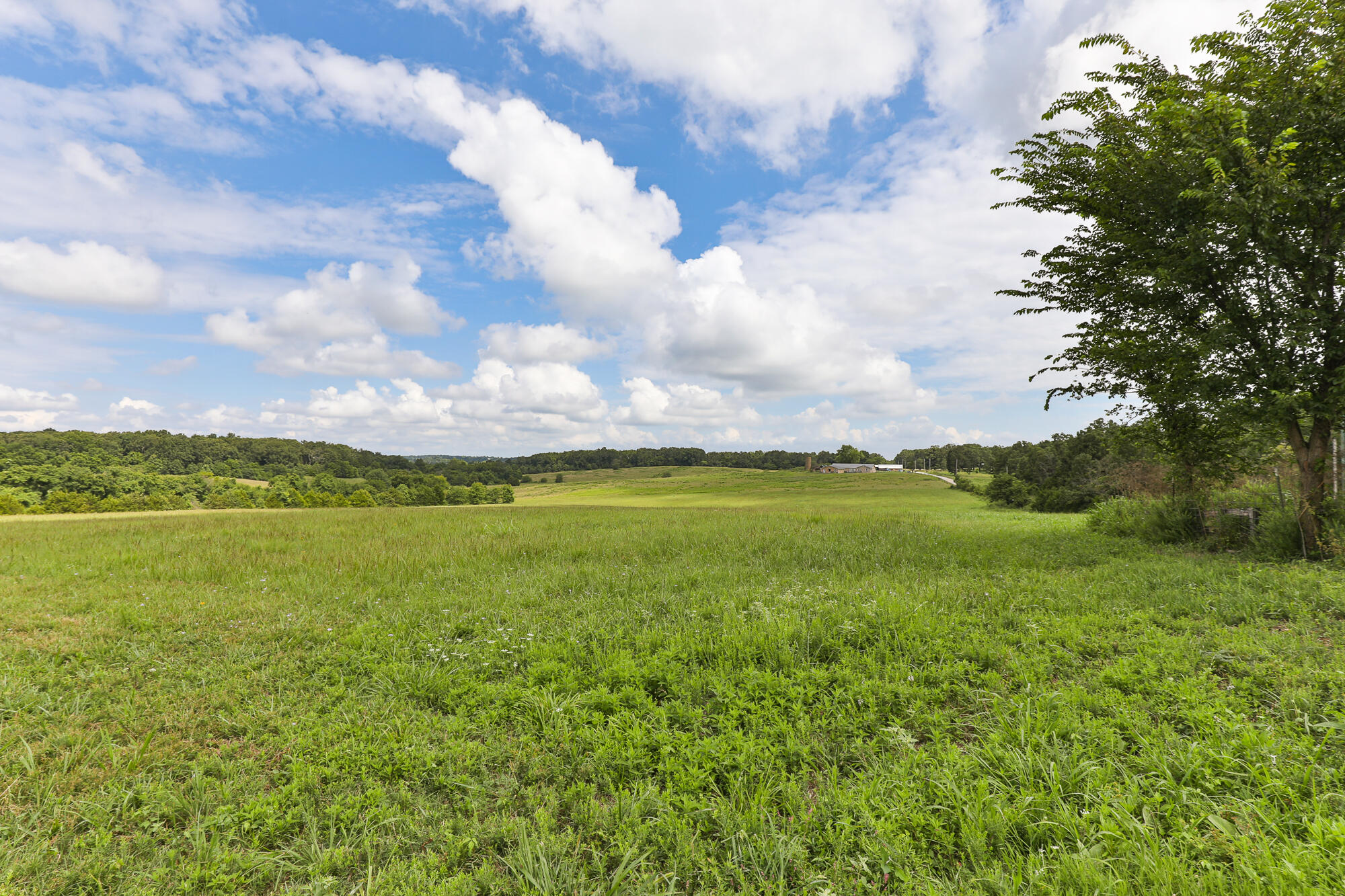 125 Eastgate Road Elkland, MO 65644 - Photo 8 of 24 7M4A5620