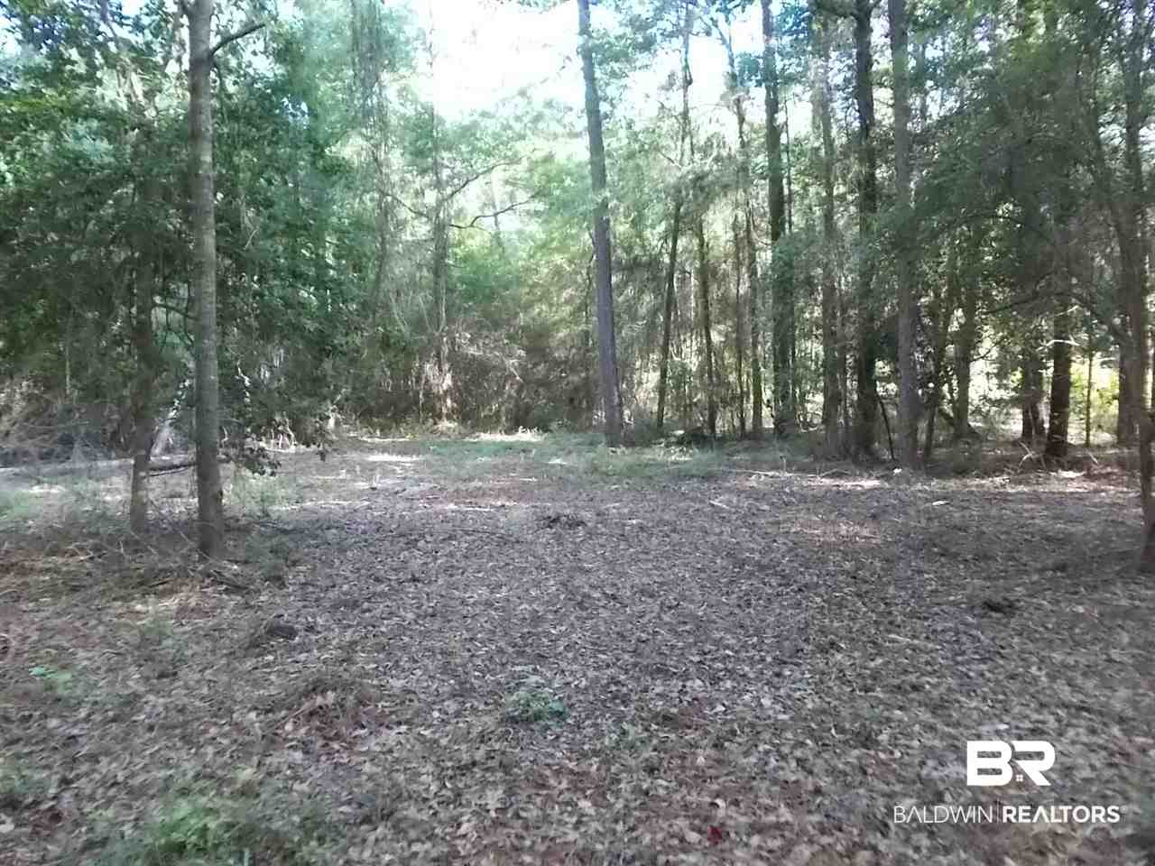 0 Ernest Patterson Road Robertsdale, AL 36567 - Photo 12 of 14