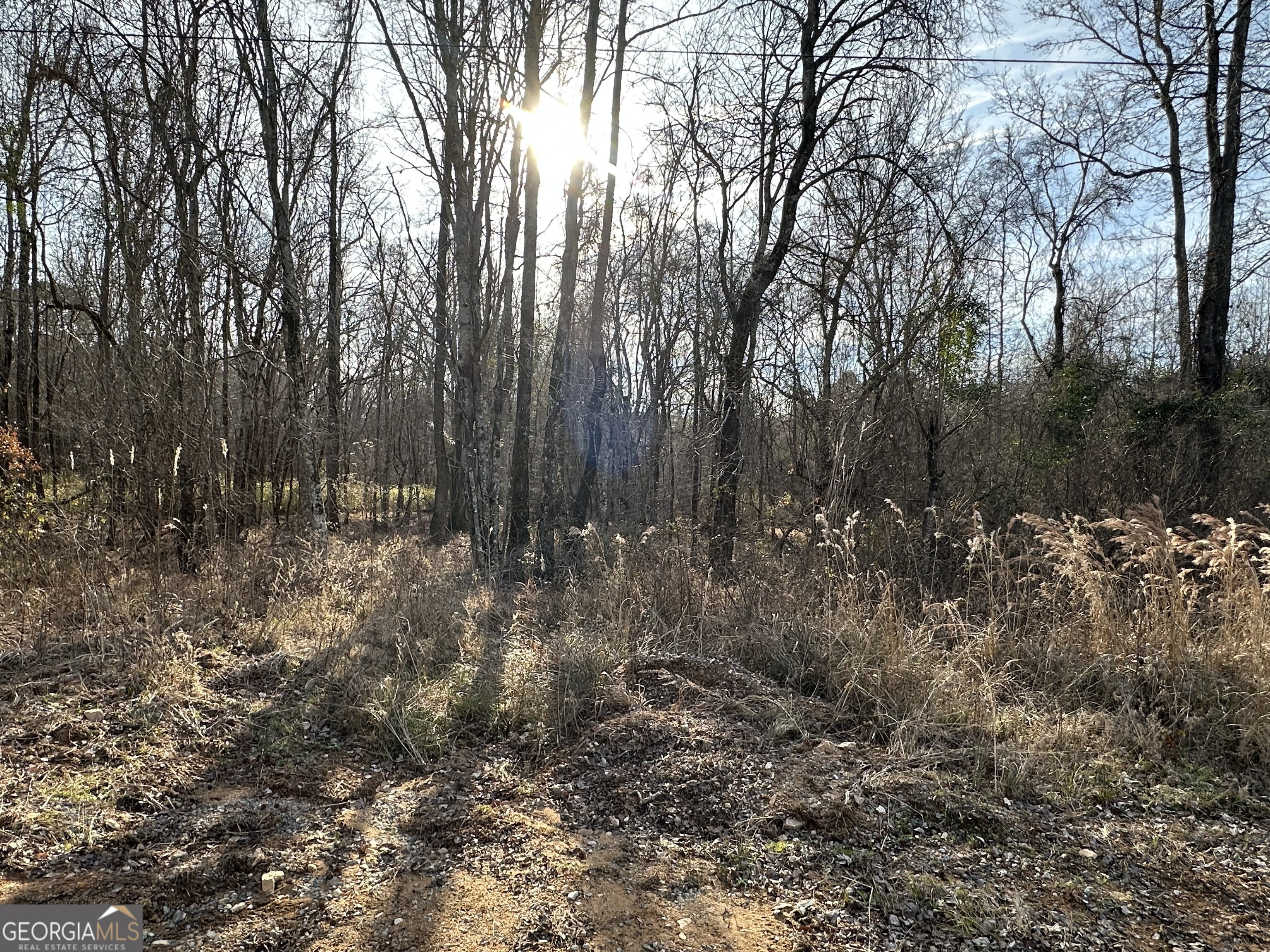 0 Cyler Road Gray, GA 31032 - Photo 1 of 1 Gallery Image 1