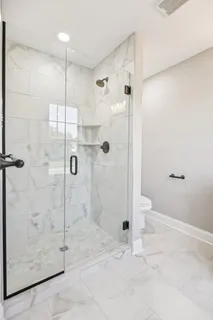 a bathroom with a shower and toilet