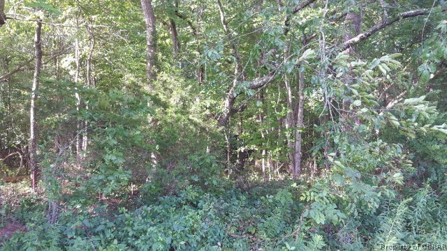 0 Pebble Heathsville, VA 22473 - Photo 6 of 6