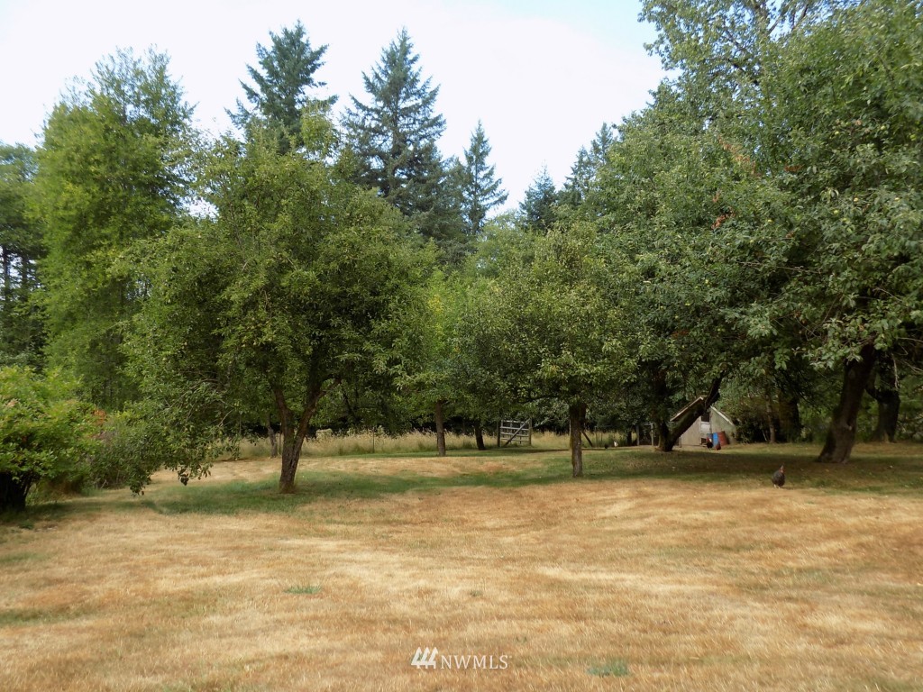 215 Hinch Road Castle Rock, WA 98611 - Photo 6 of 24 Gallery Image 6