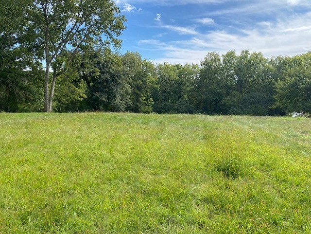 a view of basketball court