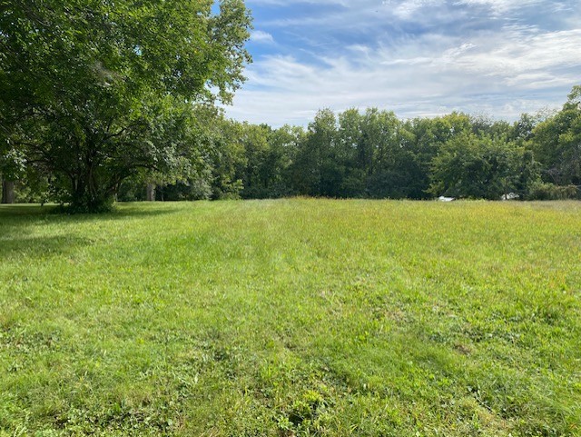 0 Pulaski Street Spring Valley, IL 61362 - Photo 2 of 2 a view of outdoor space and yard