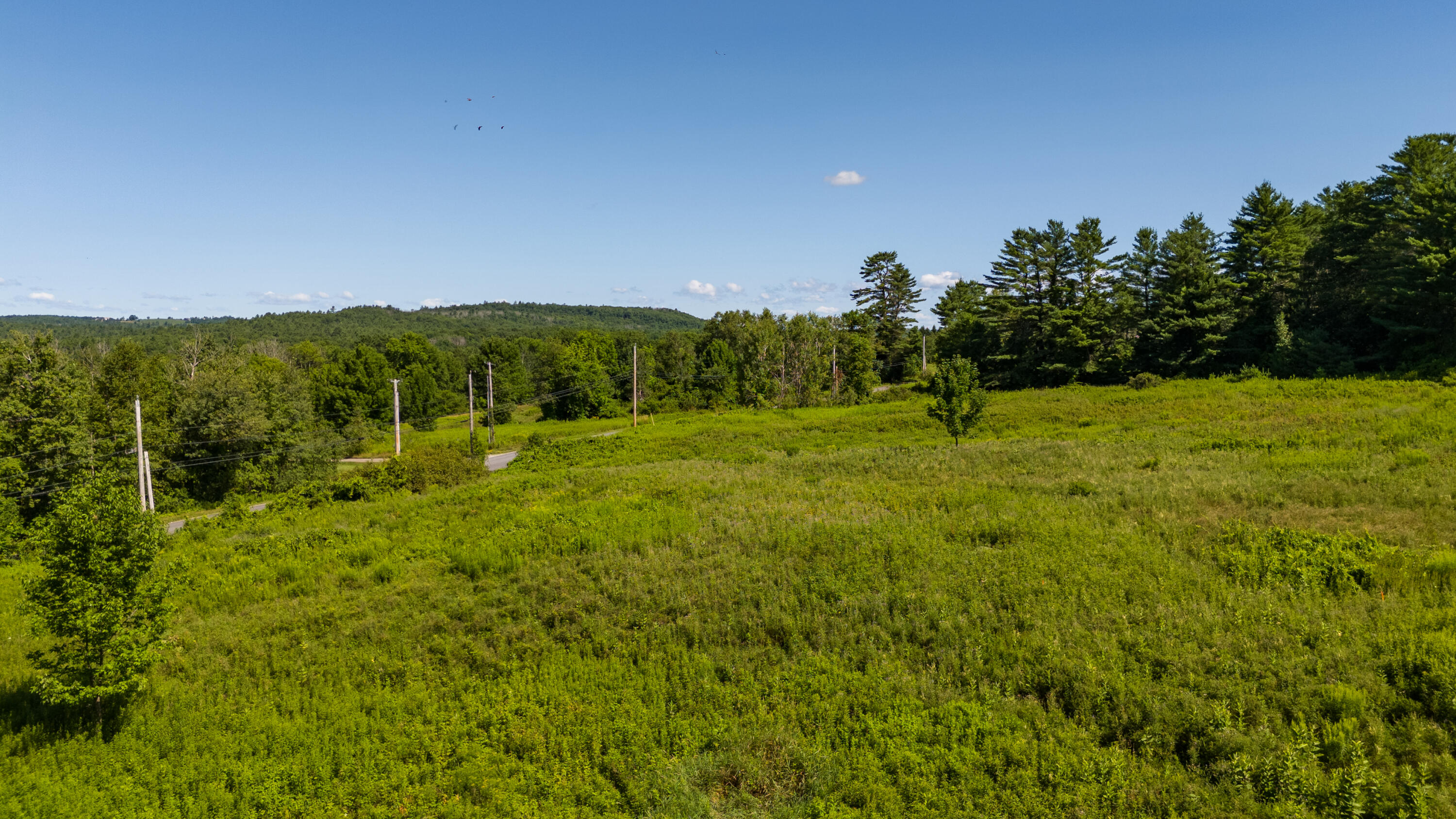 Lot 6 Berry Road Greene, ME 04236 - Photo 14 of 19 Green Lot 2 Summer-16