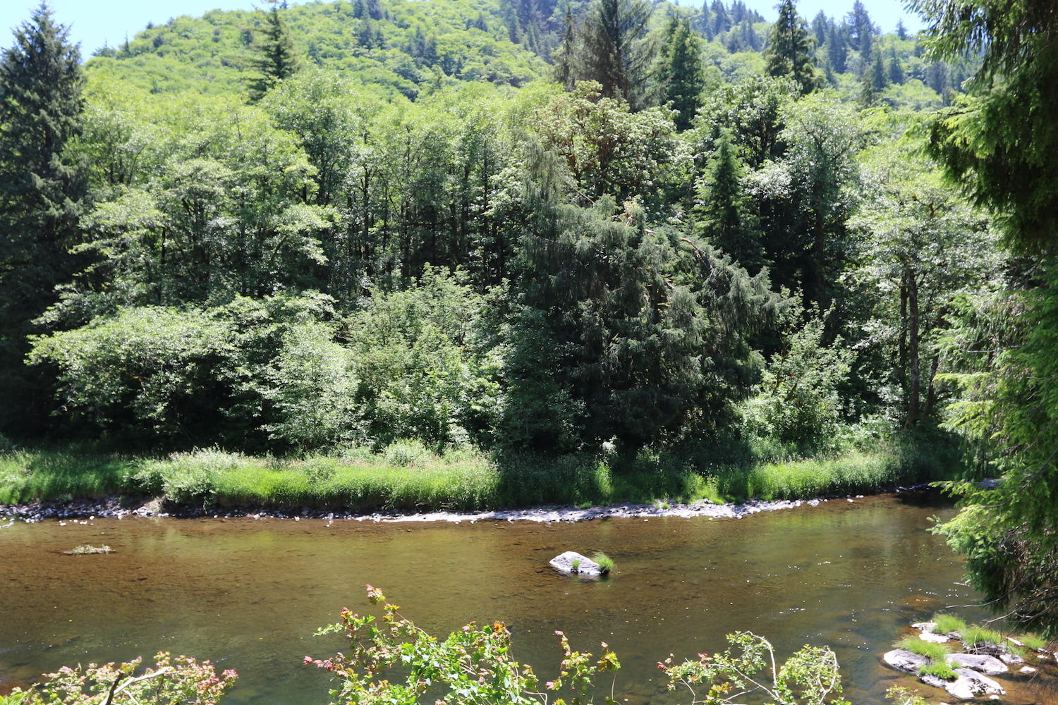 Vl Vl Trask River Road Tillamook, OR 97141 - Photo 5 of 10 IMG_0954