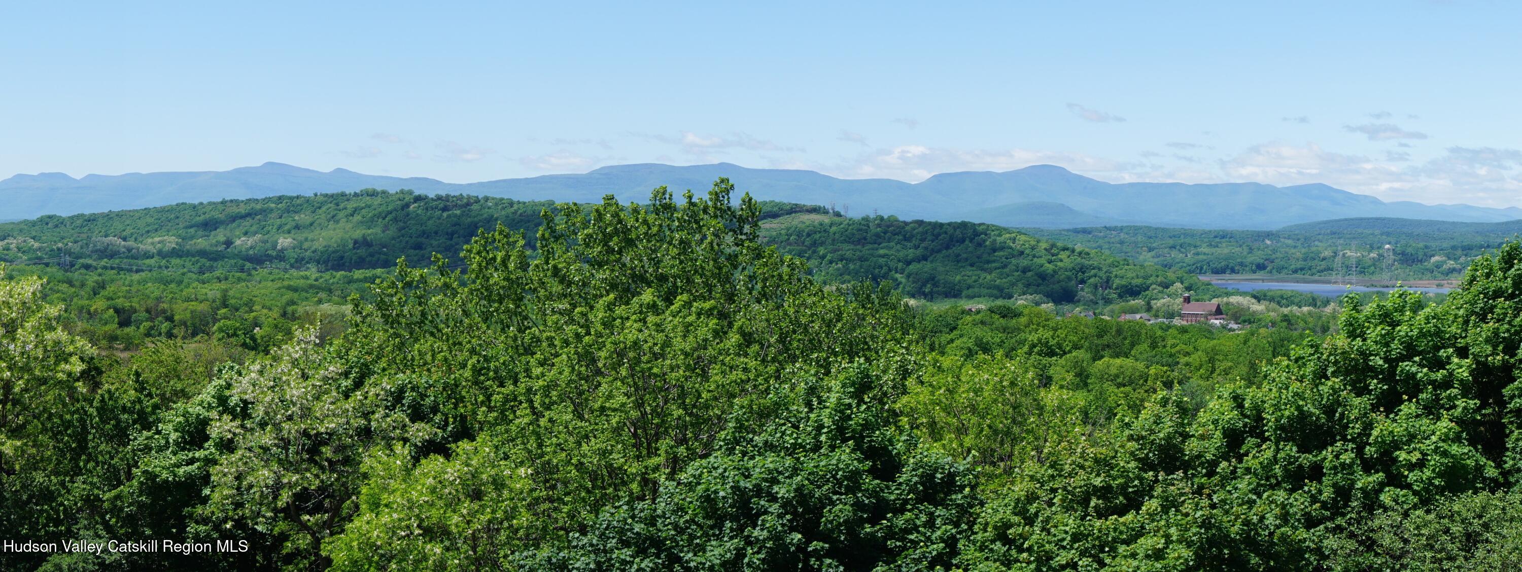 5 Van Winkle Road Hudson, NY 12534 - Photo 14 of 14 a view of a lush green mountain in the distance in a forest