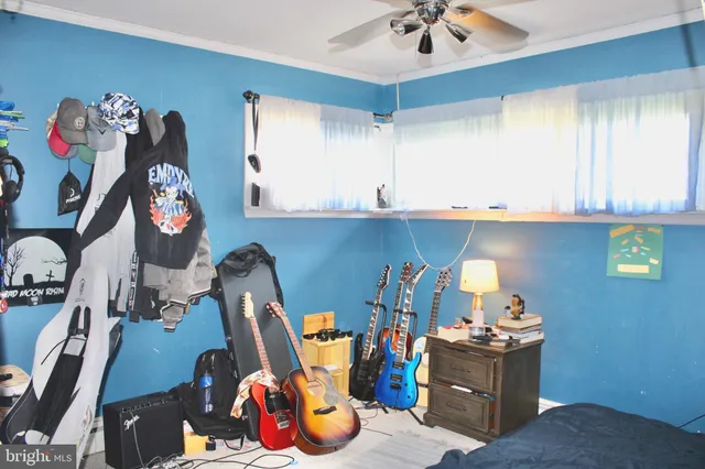 walk in closet with window and flowerpot