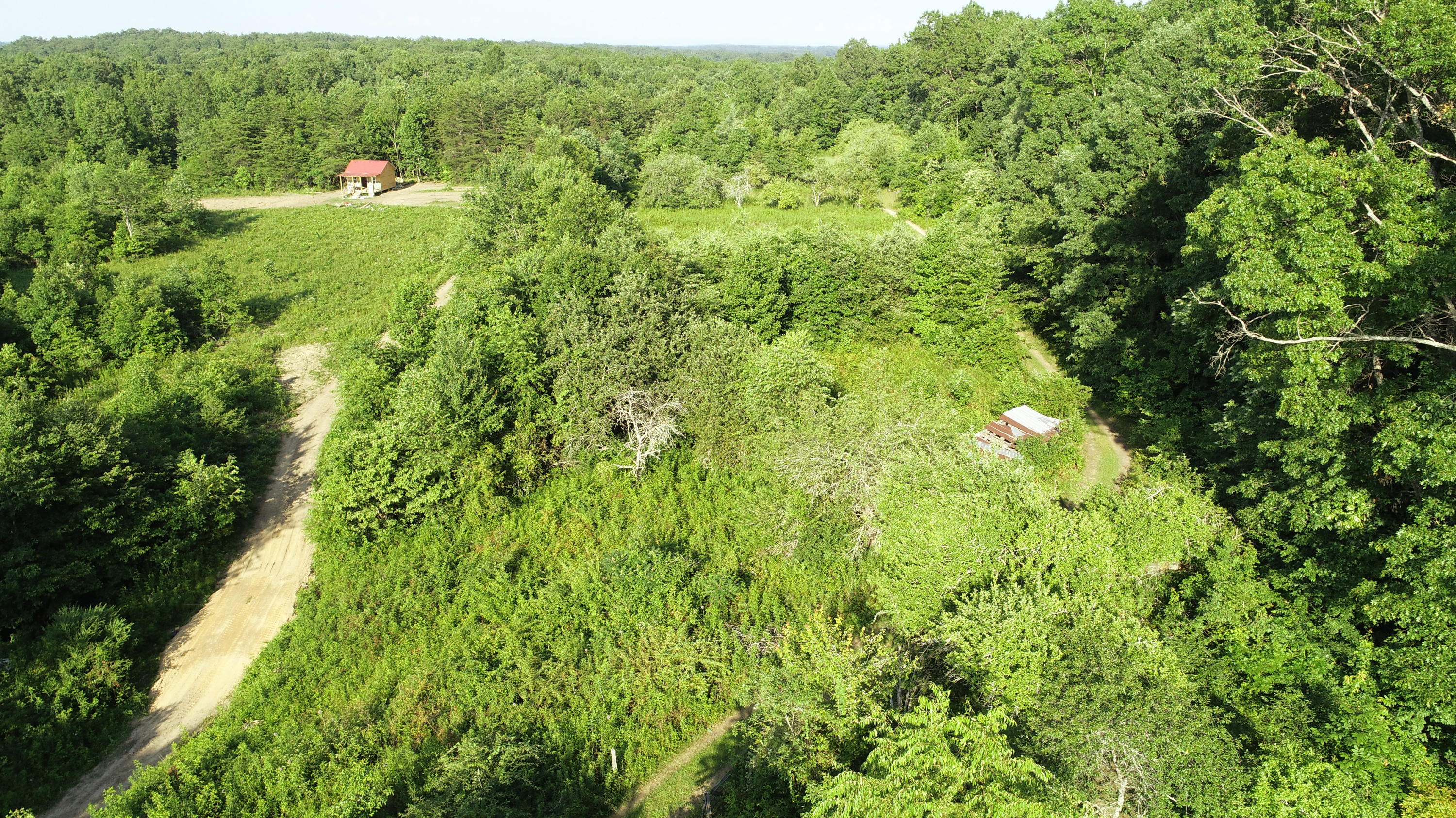 604 Keyes Road Crossville, TN 38571 - Photo 1 of 20 DJI_0124