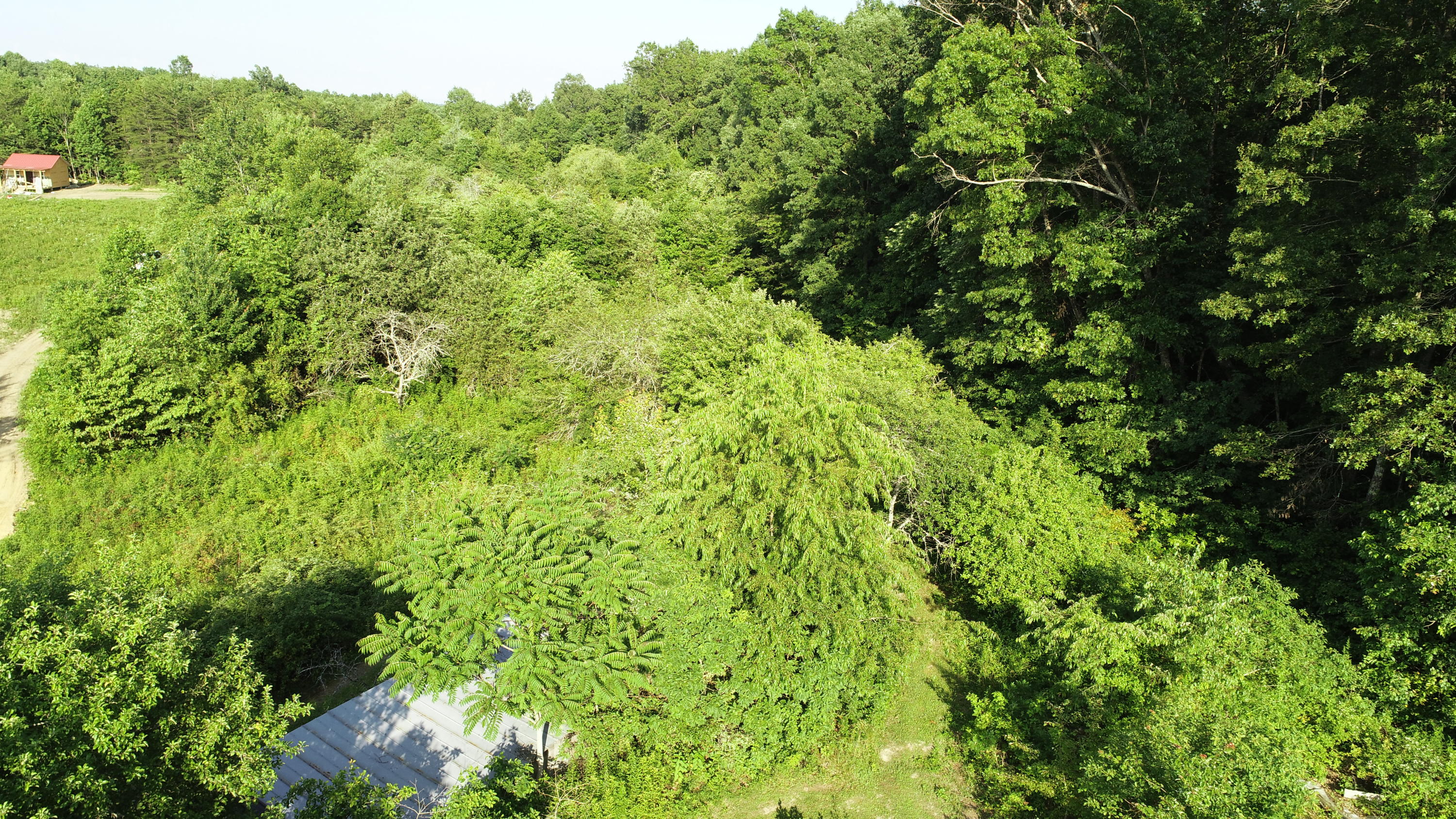 604 Keyes Road Crossville, TN 38571 - Photo 14 of 20 DJI_0125