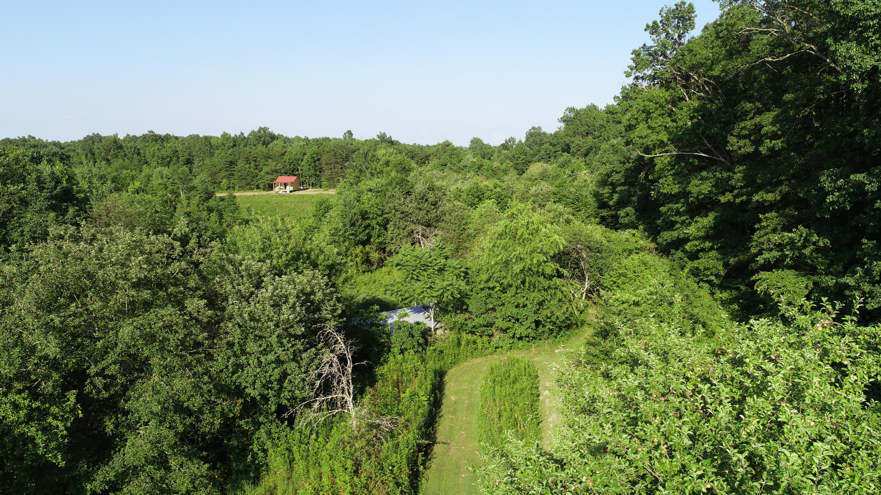 604 Keyes Road Crossville, TN 38571 - Photo 5 of 20 DJI_0108