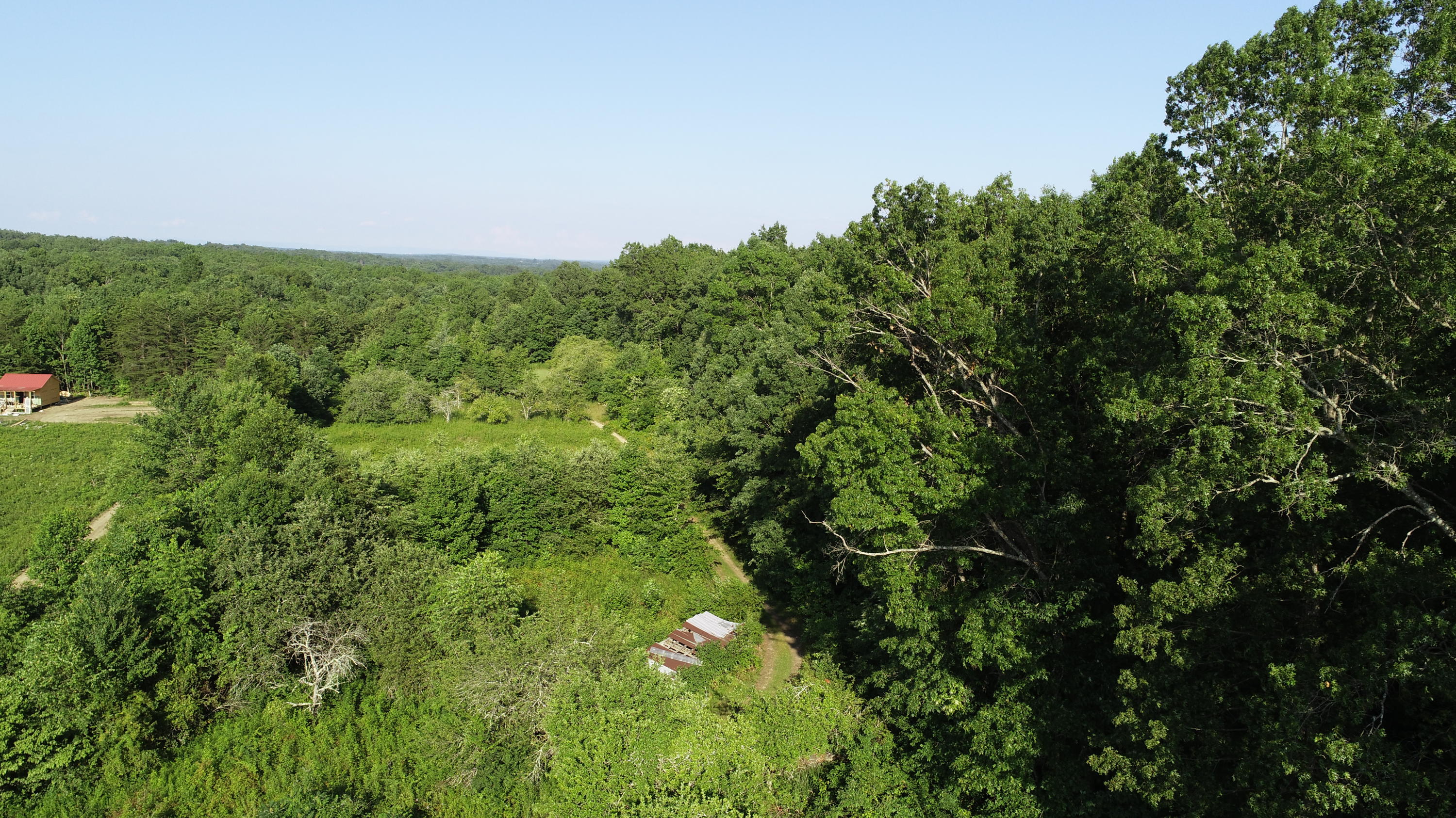604 Keyes Road Crossville, TN 38571 - Photo 6 of 20 DJI_0110