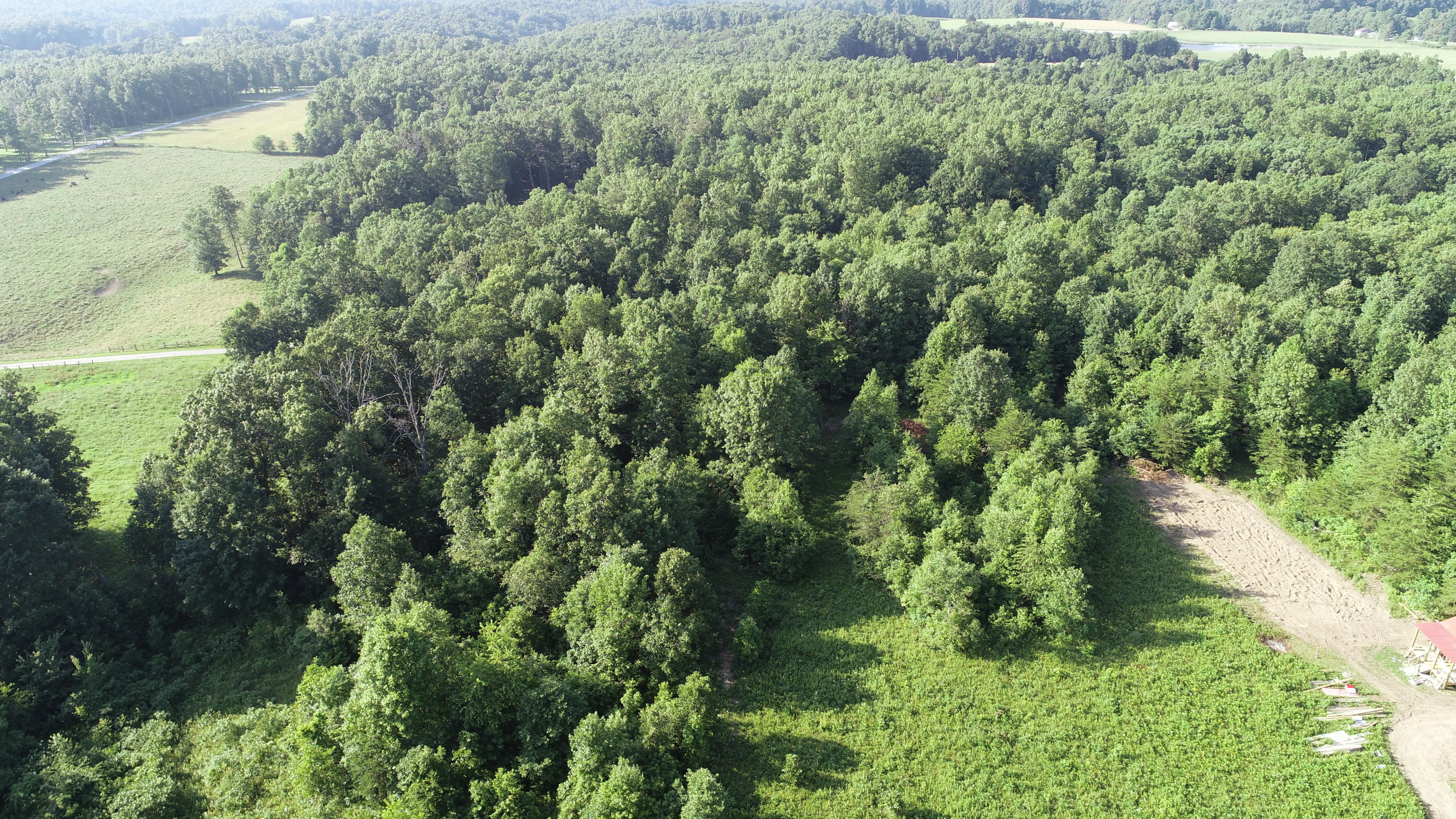 604 Keyes Road Crossville, TN 38571 - Photo 8 of 20 DJI_0113