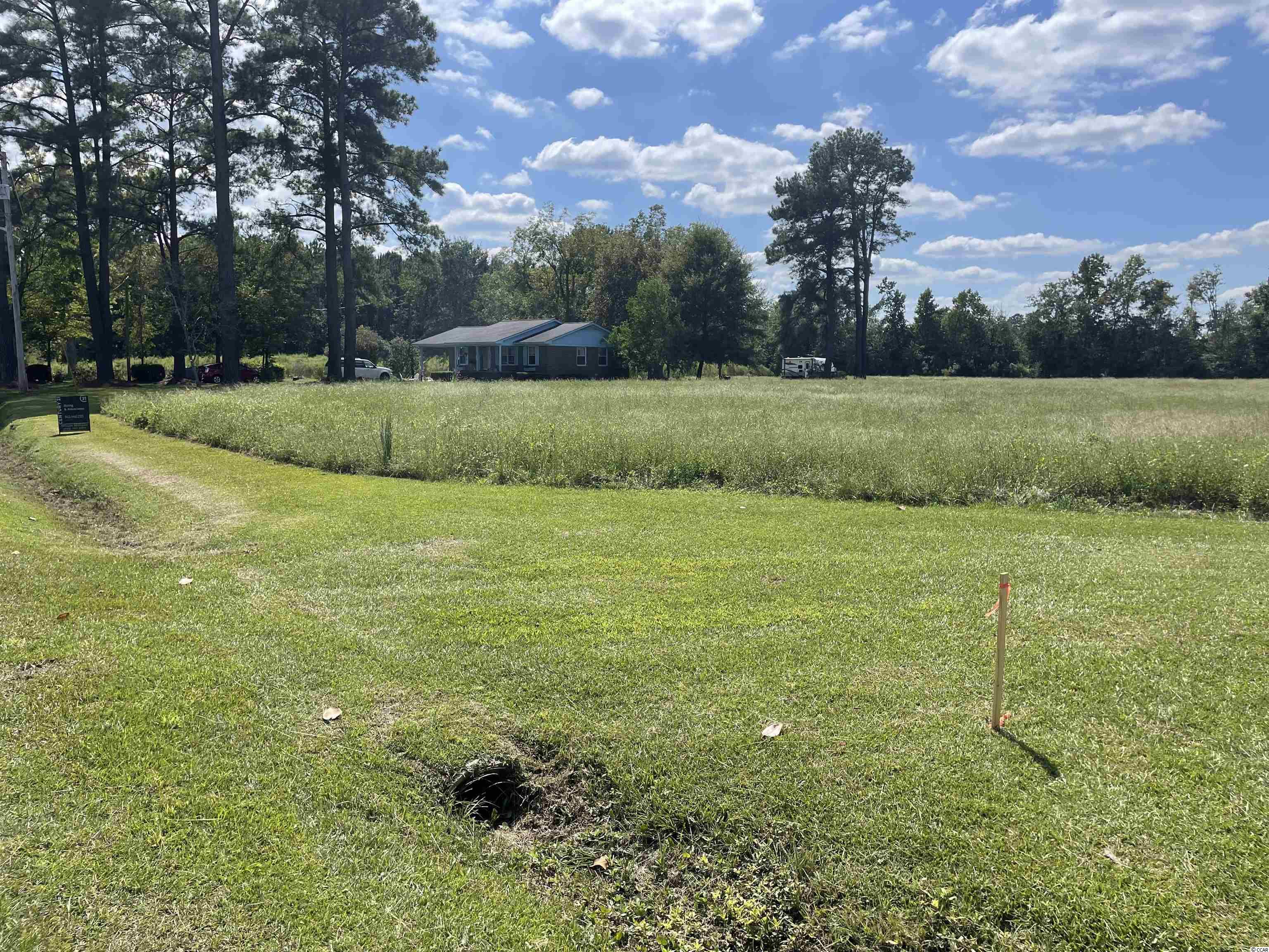 Tbd Suggs Street Loris, SC 29569 - Photo 3 of 13