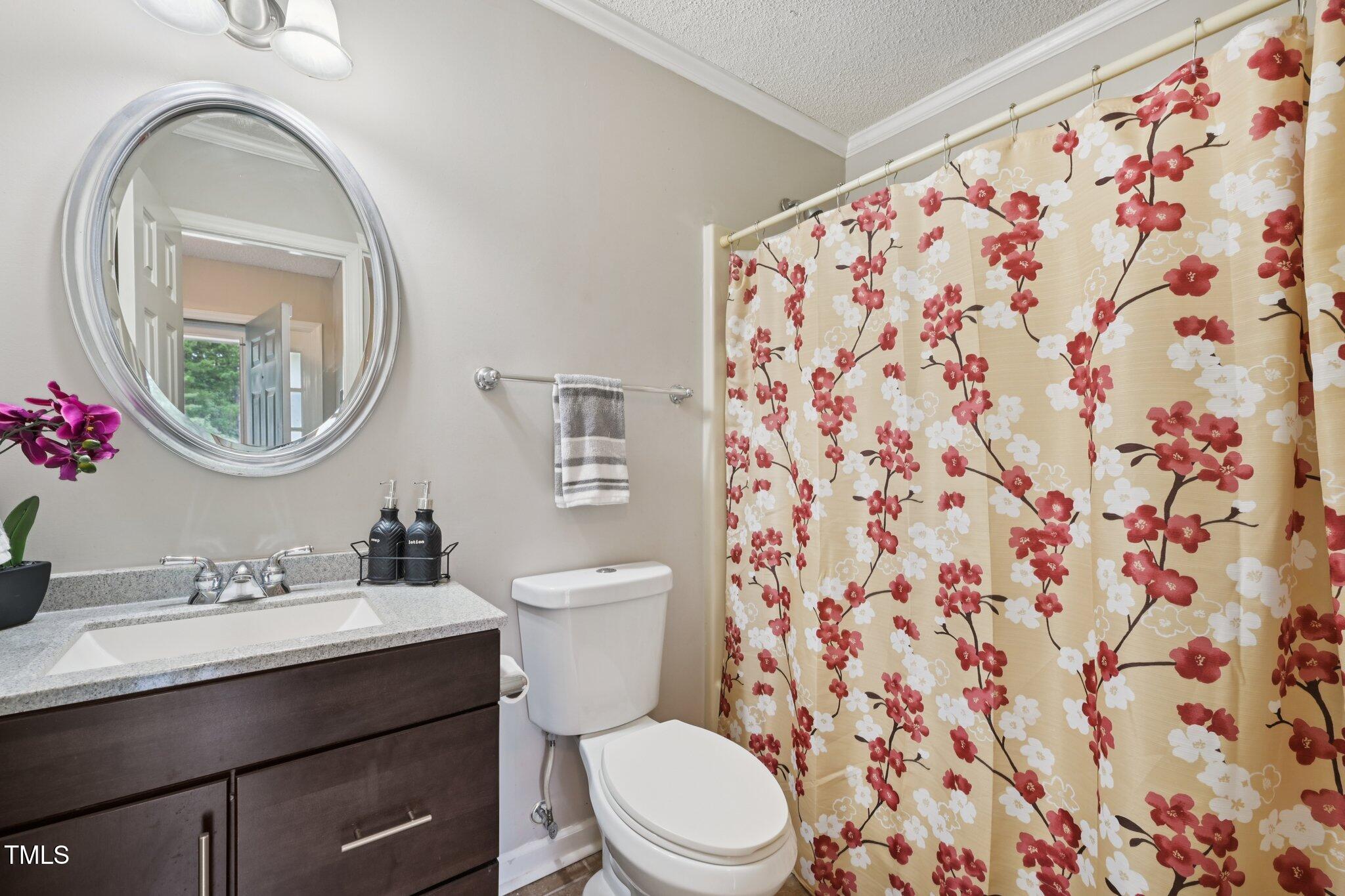 3534 Rawdon Drive Durham, NC 27713 - Photo 29 of 43 a bathroom with a toilet a sink and a mirror